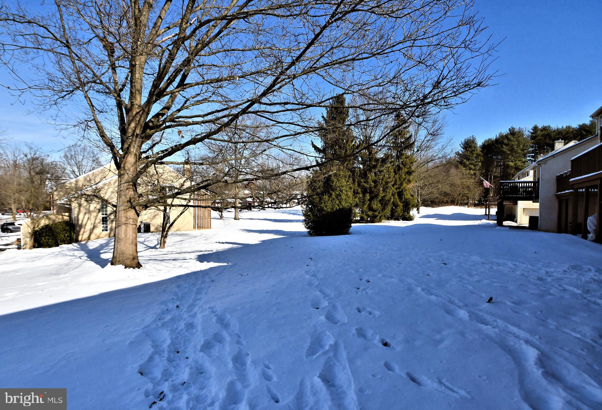 WILLISTOWN WOODS - Residential
