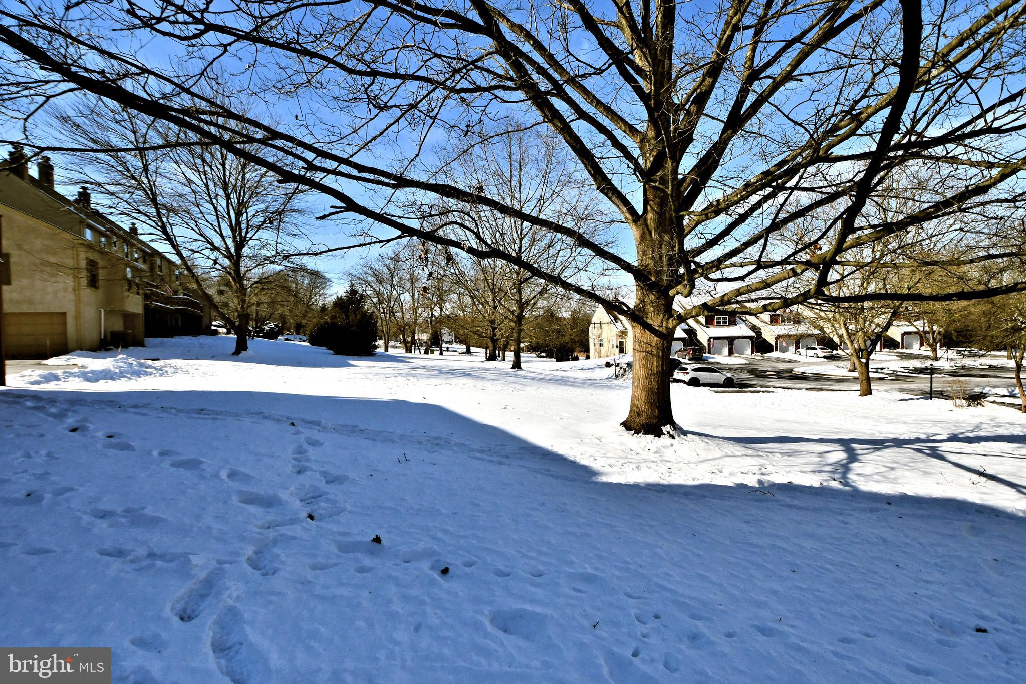 WILLISTOWN WOODS - Residential