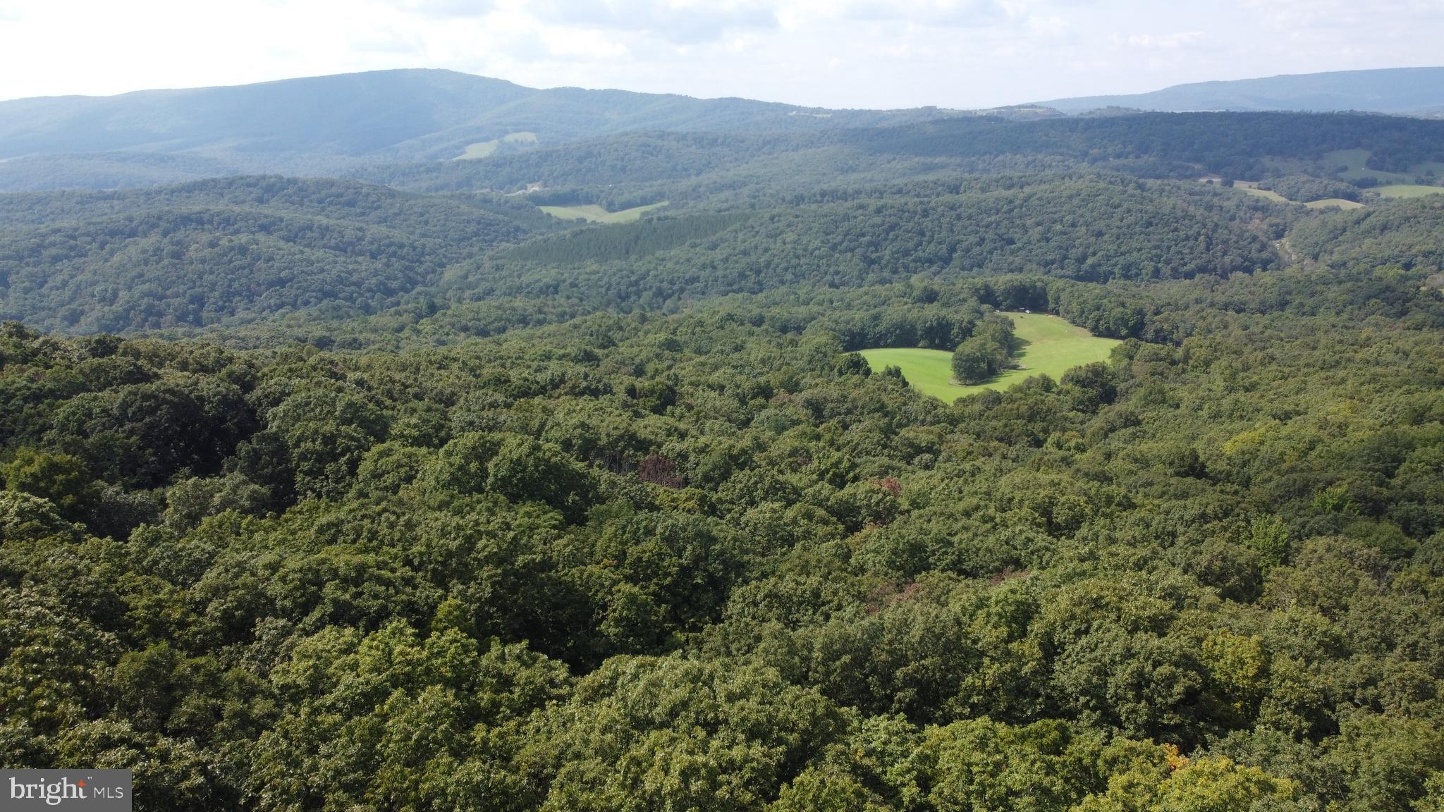 Beautiful Mountain Property overlooking the West Virginia mountain ranges to the west! Natural vernal Springs all over the property!! Camp, Hike, Hunt, Ride ATV's... whatever you choose to do, you will be surrounded by Natures Beauty. You can choose where to build on this 24+ acre wooded lot, go to the top for a Spectacular View! Doublewides allowed. Electric Nearby! Easy to get to, yet hard to find! Short drive to the Town of Wardensville, WV. A quaint thriving town filled with art galleries, shops, dining and an abundance of outdoor recreation! 50 Minutes to Winchester and Less than 2 hour drive to Washington DC. Timber company gave previous owner a recent value being estimated at 30k or more for the hardwoods. Call today to check out this piece of Wild & Wonderful West Virginia.
New driveway has been added, and clearing has been done for potential home site!