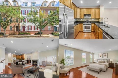 3941 OLD DOMINION BOULEVARD ALEXANDRIA VA 22305