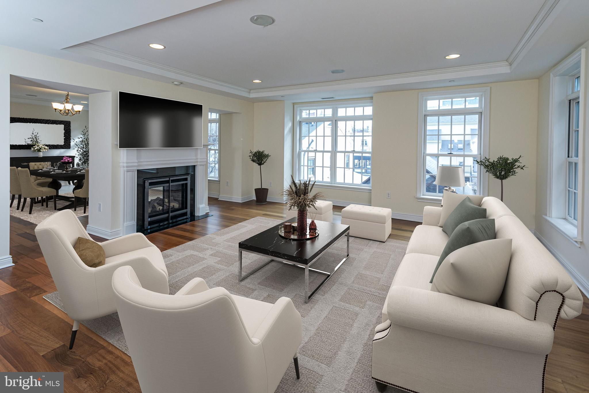 PALMER SQUARE - Residential