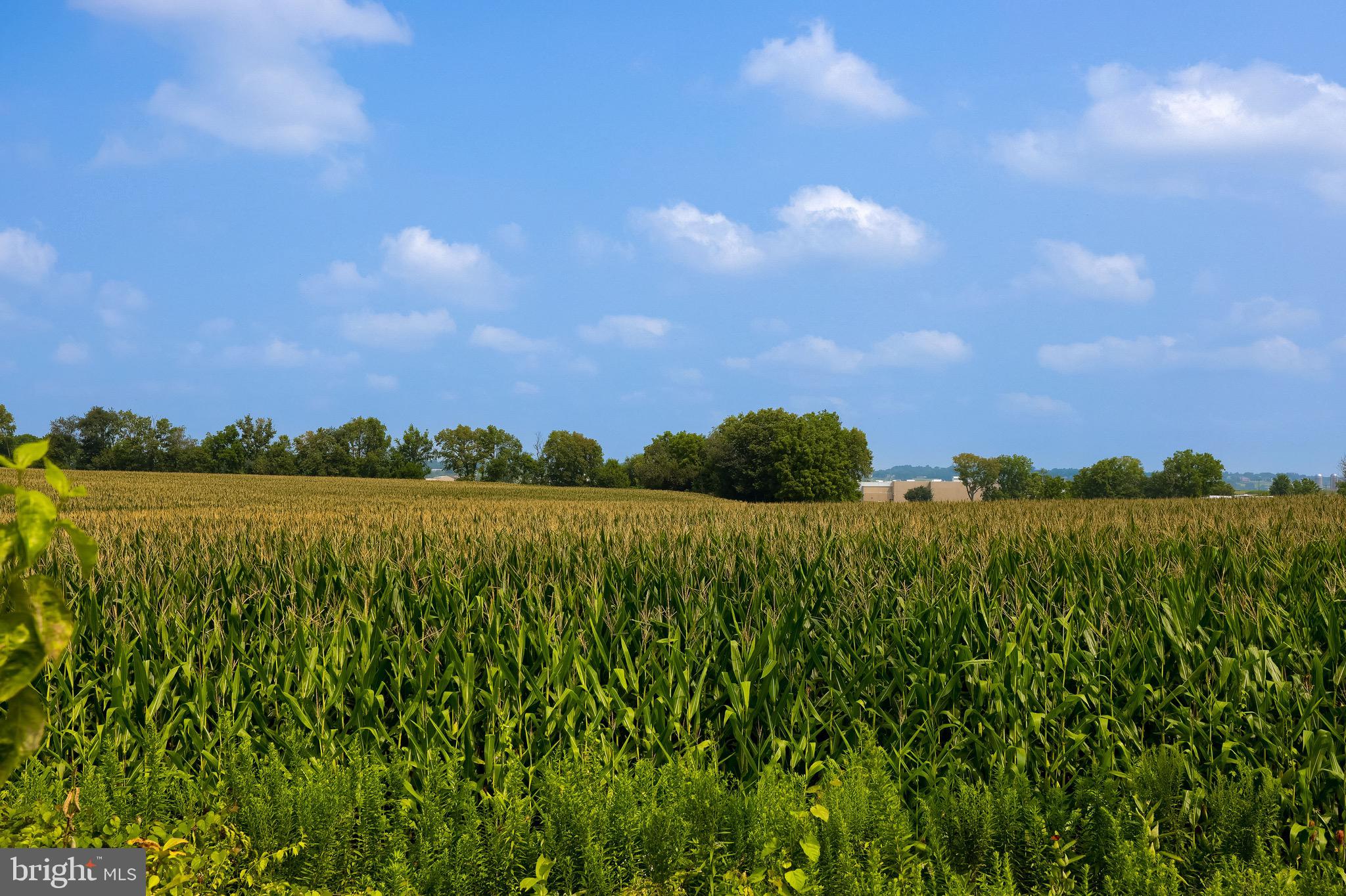 OREGON POINTE - Residential