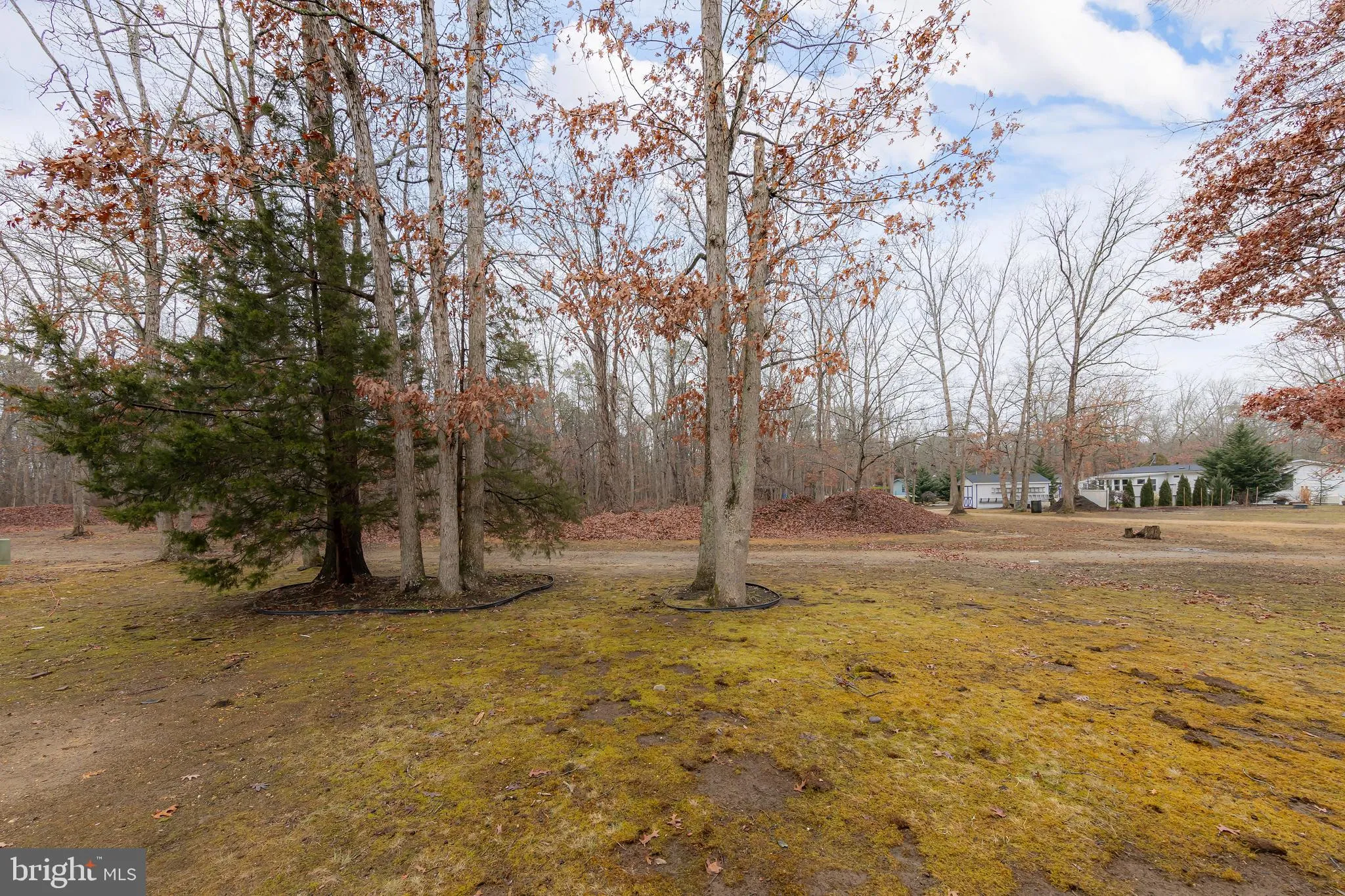 Vineland, New Jersey 08360, United States, 2 Bedrooms Bedrooms, ,1 BathroomBathrooms,Residential,Pending,9112