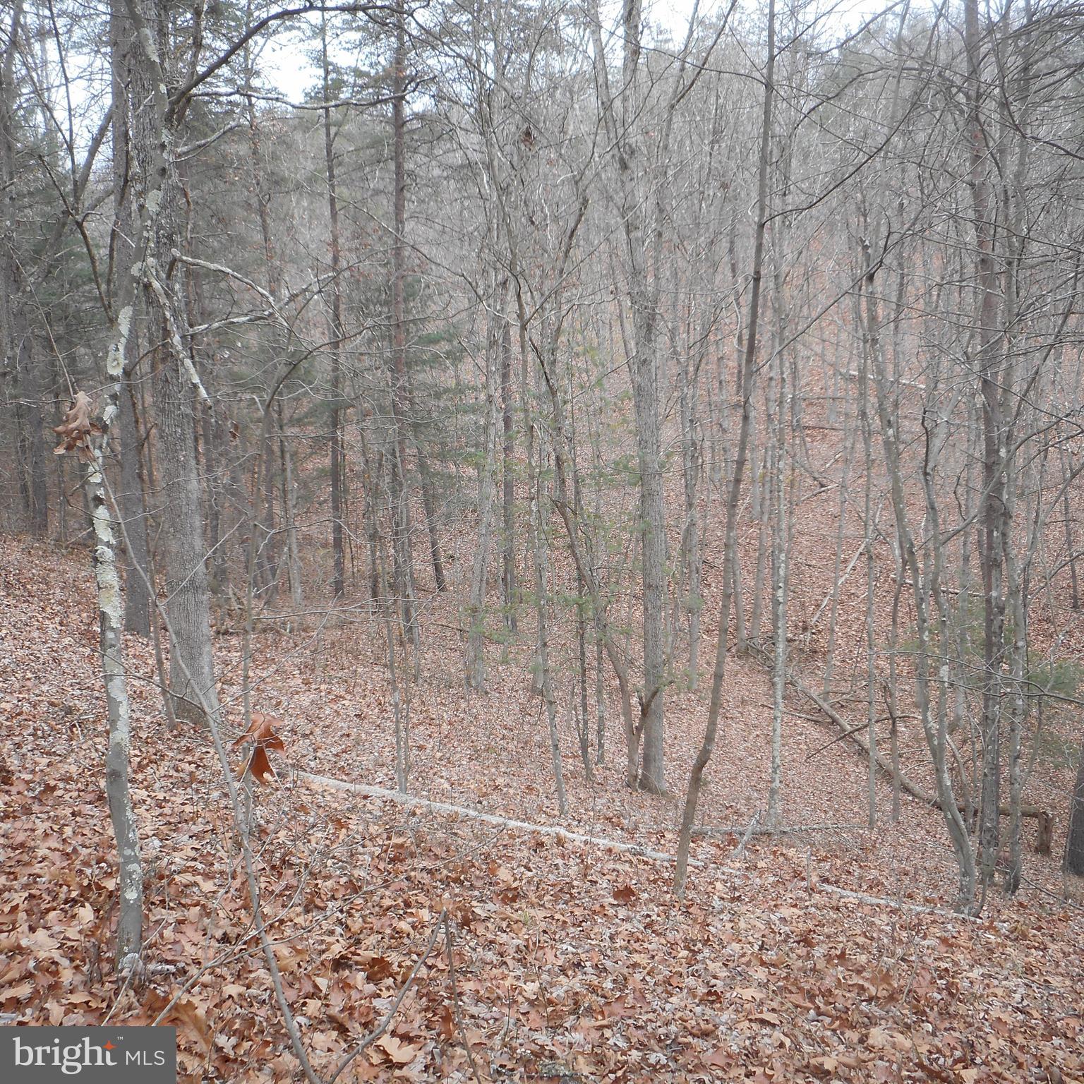 SHORT MOUNTAIN ESTATES - Residential