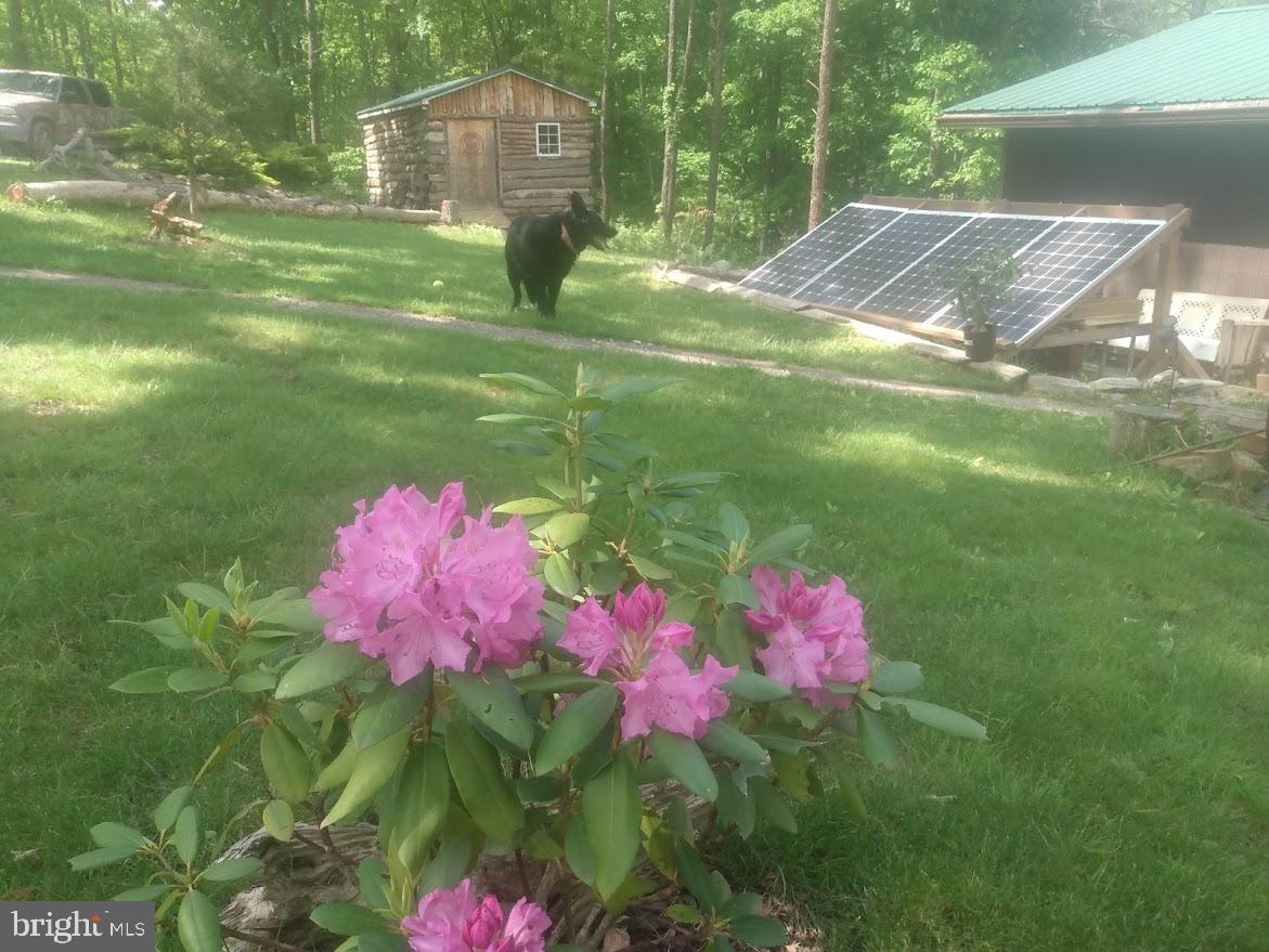 SHORT MOUNTAIN ESTATES - Residential