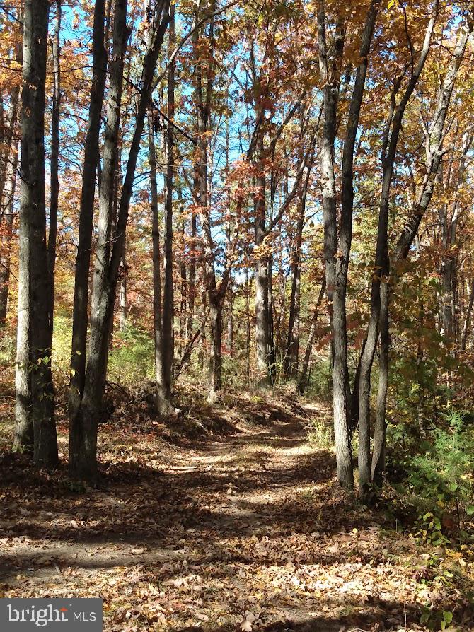 SHORT MOUNTAIN ESTATES - Residential