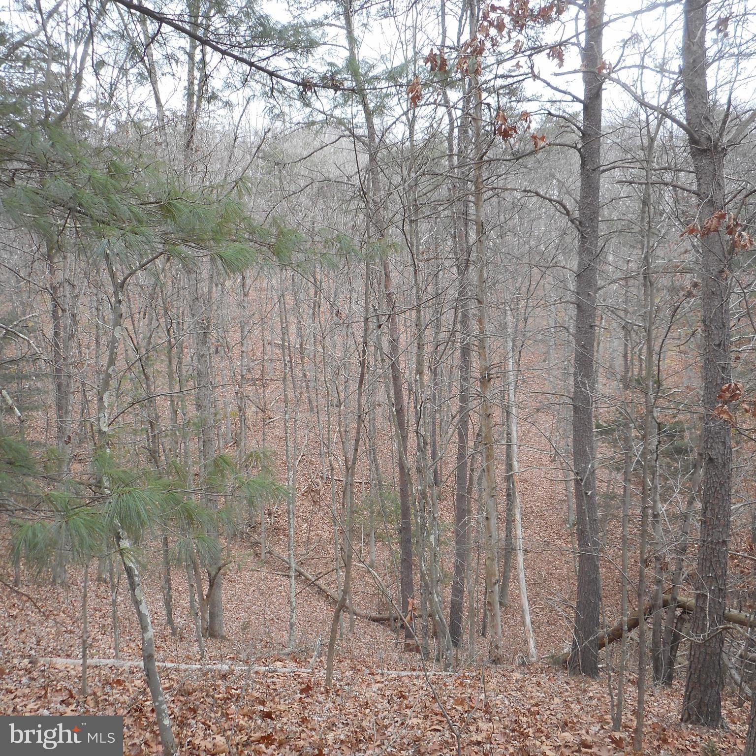 SHORT MOUNTAIN ESTATES - Residential