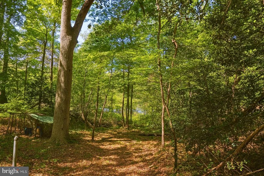 Combine Lot with 5 Gene Avenue and Build your dream home. Private, wooded +/- 1.3 acre lot located just off the banks of the Magothy River; a perfect location for recreational boaters and fisherman.  Public water is available, perc approved. 5 Gene Avenue is priced at $224,500. Both lots are Zoned R-1 and purchased together to create one large 2.5 +/- acre building lot.