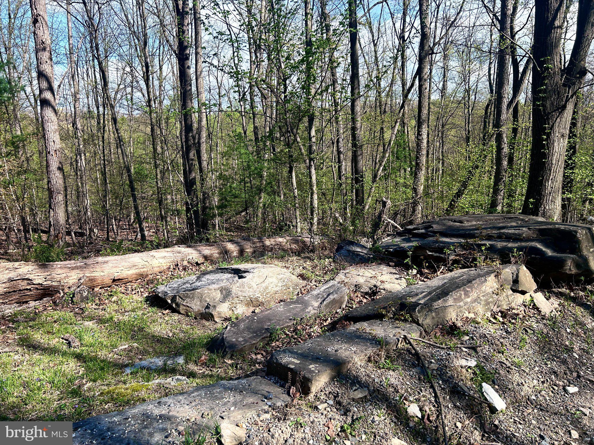 0 MARYLAND AVENUE LOT #46