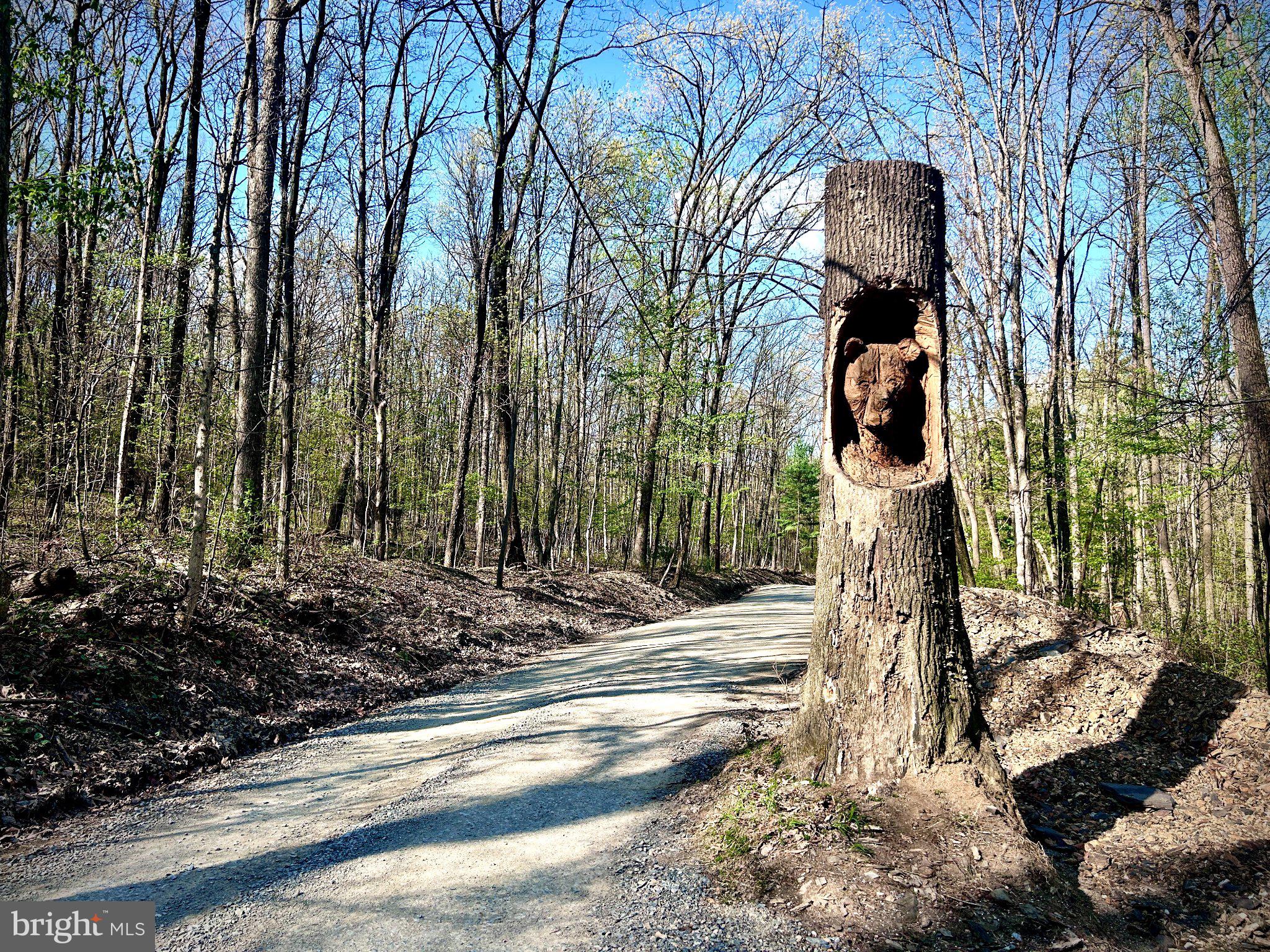 0 MARYLAND AVENUE LOT #46