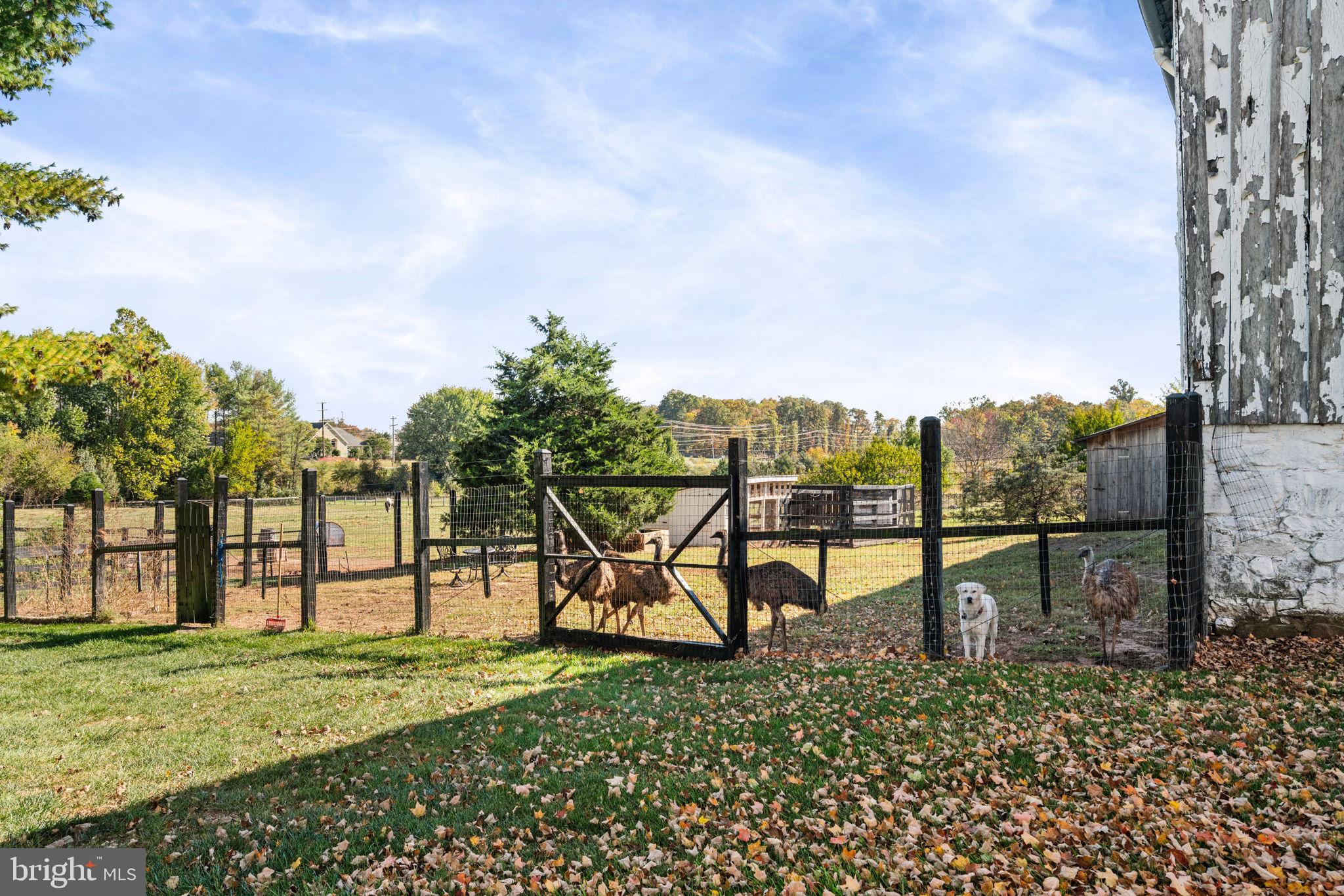 ANGELOS-URBAN - Residential