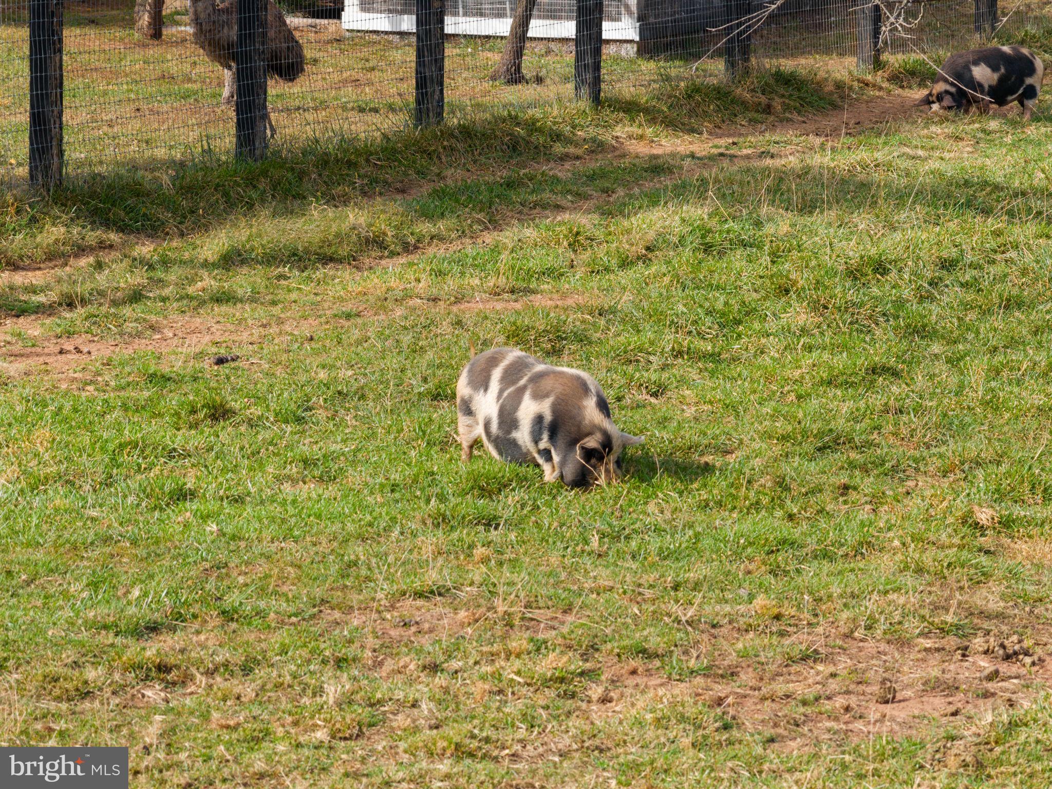ANGELOS-URBAN - Residential