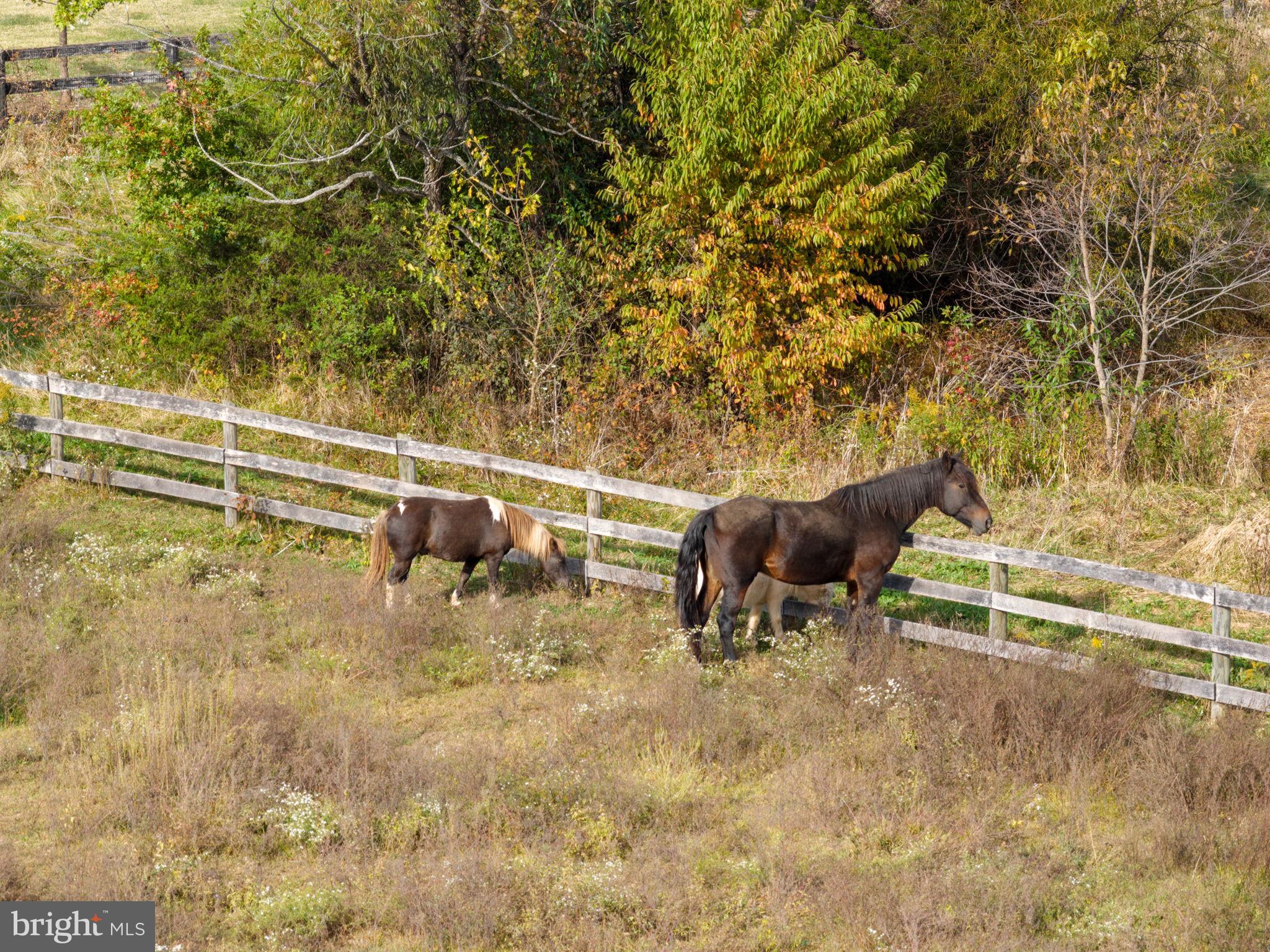 ANGELOS-URBAN - Residential
