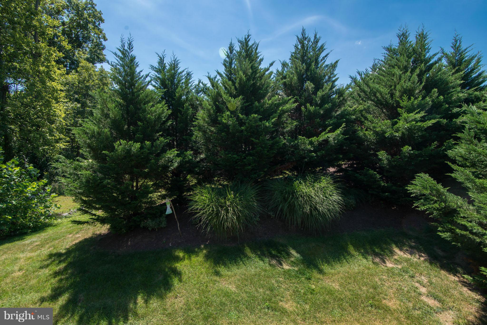 FERNBANK - Residential