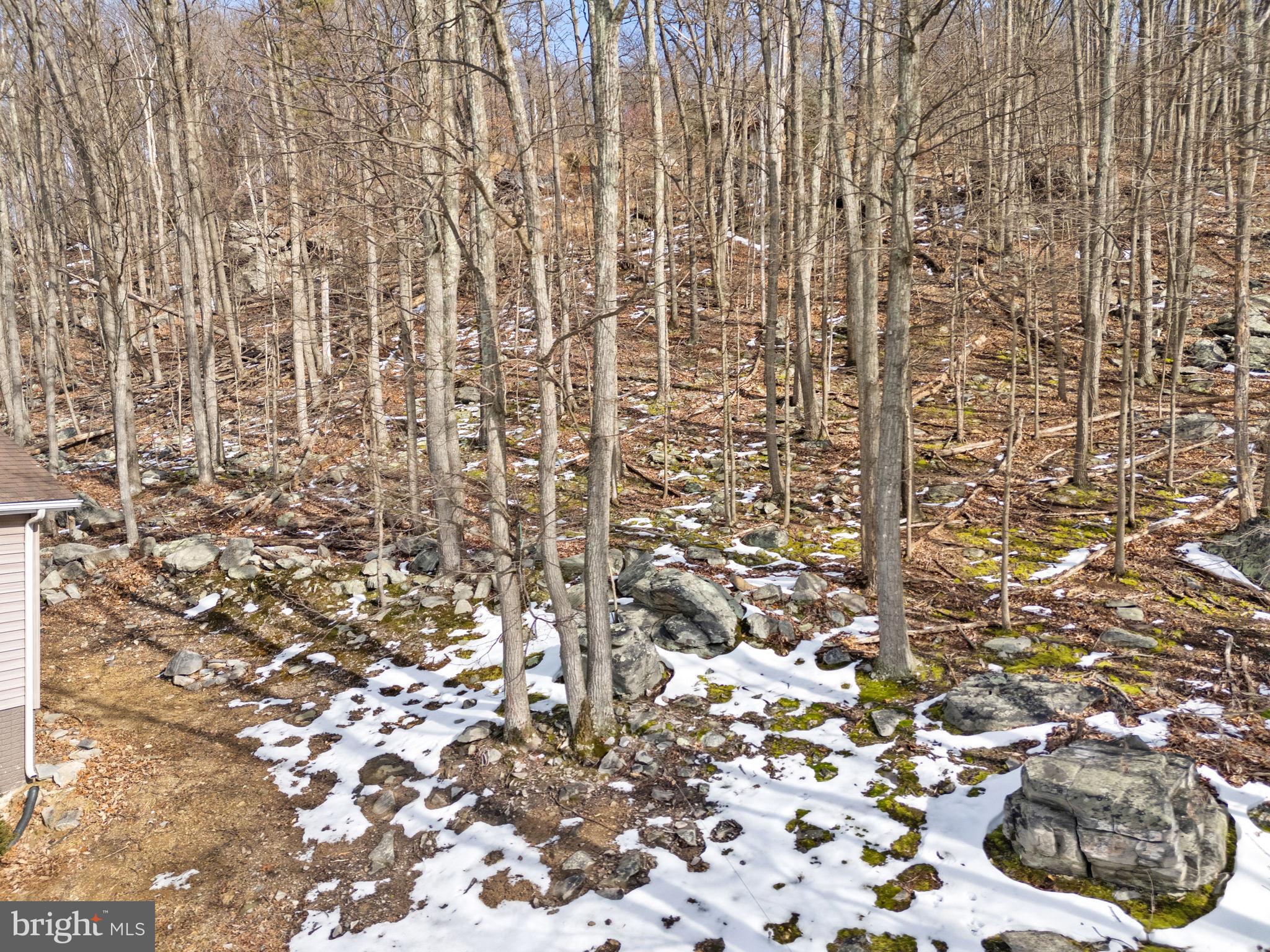 SHANNONDALE - Residential