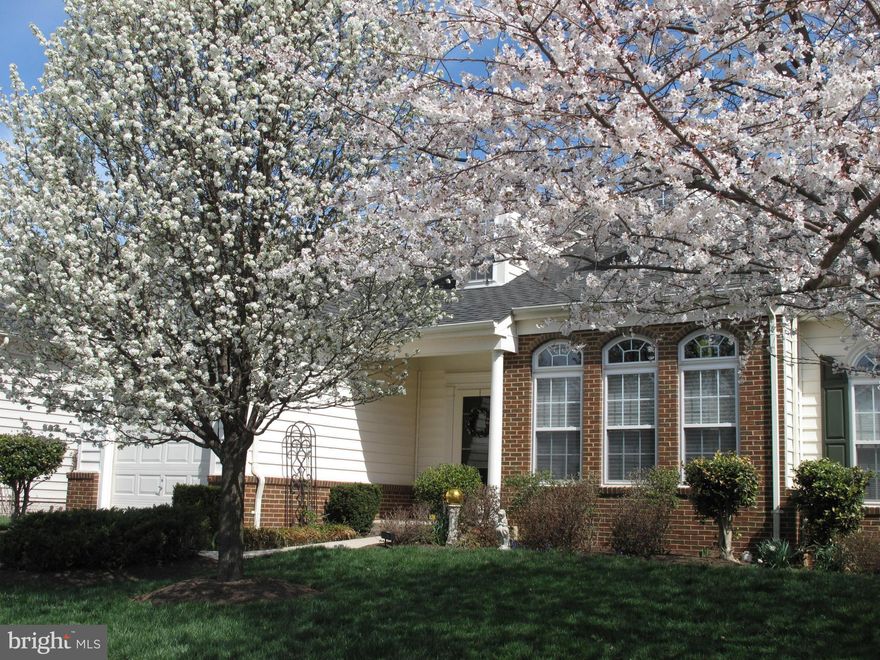 LOVE!!!  Artfully designed for the over 55 adult!  Elegant main floor living with spacious living, dining, & oversized kitchen leading to beautiful patio/mature treed area!  Main level owners suite with luxury bath and walk in closet! Laundry room also main level! Visiting company for holidays? Perfect-Upper level with loft, bedrooms and full bath! 3 finished levels & garage!