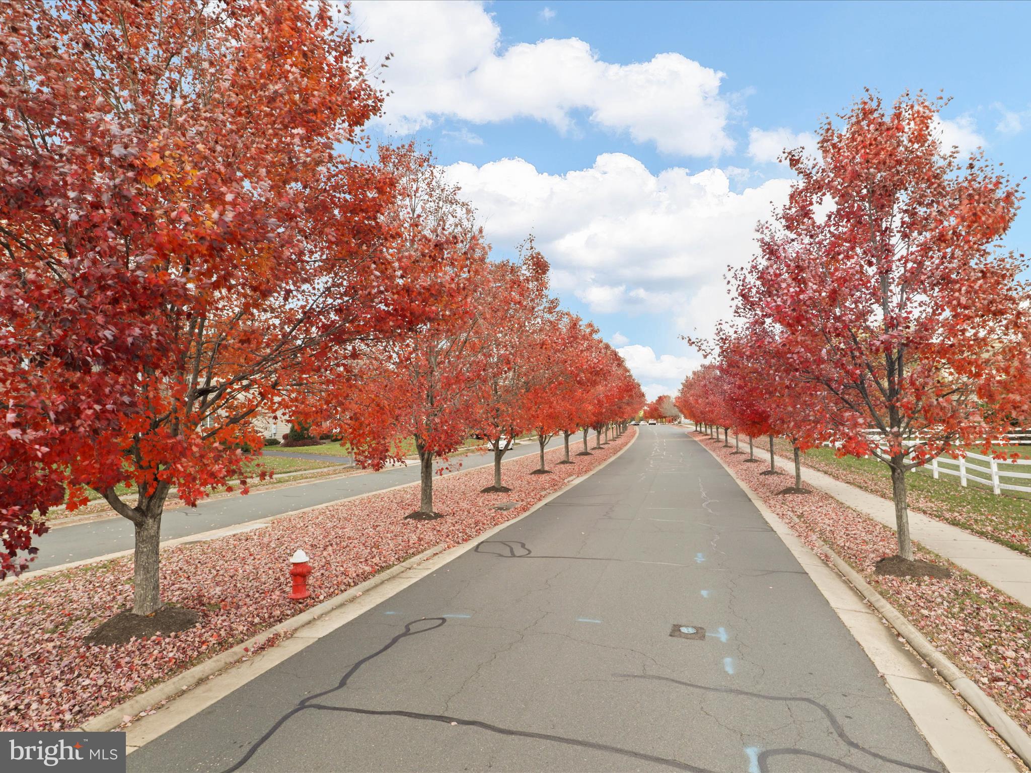 RED CEDAR MIDDLE VILLAGE - Residential