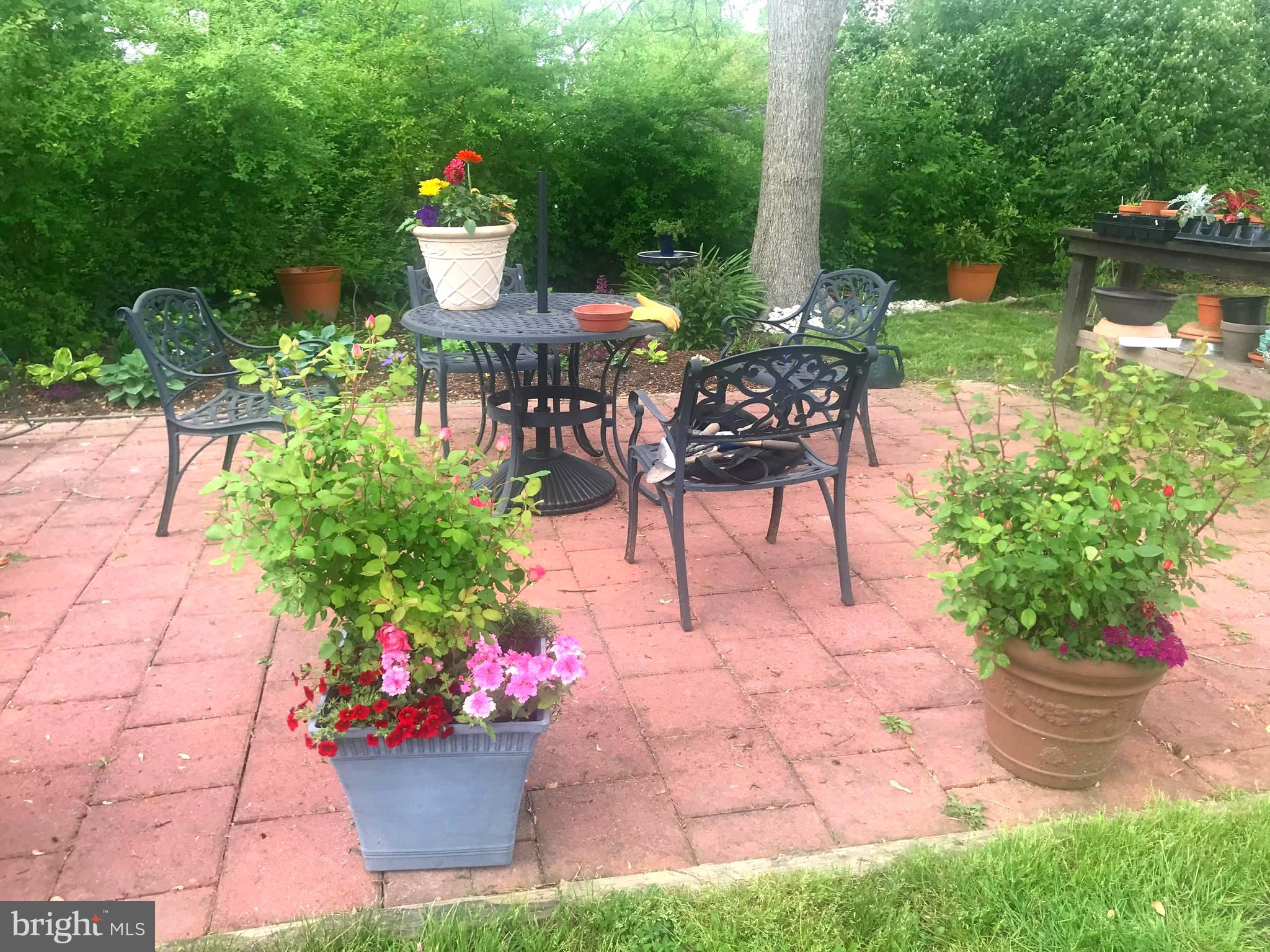 ST. MICHAELS - Residential