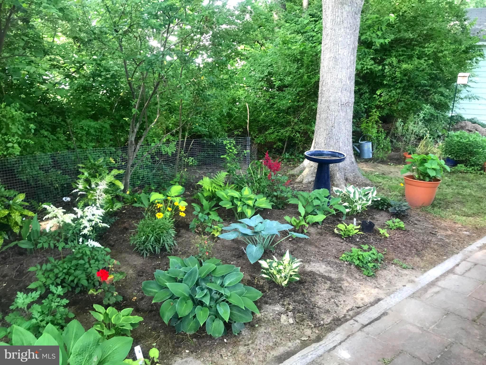 ST. MICHAELS - Residential