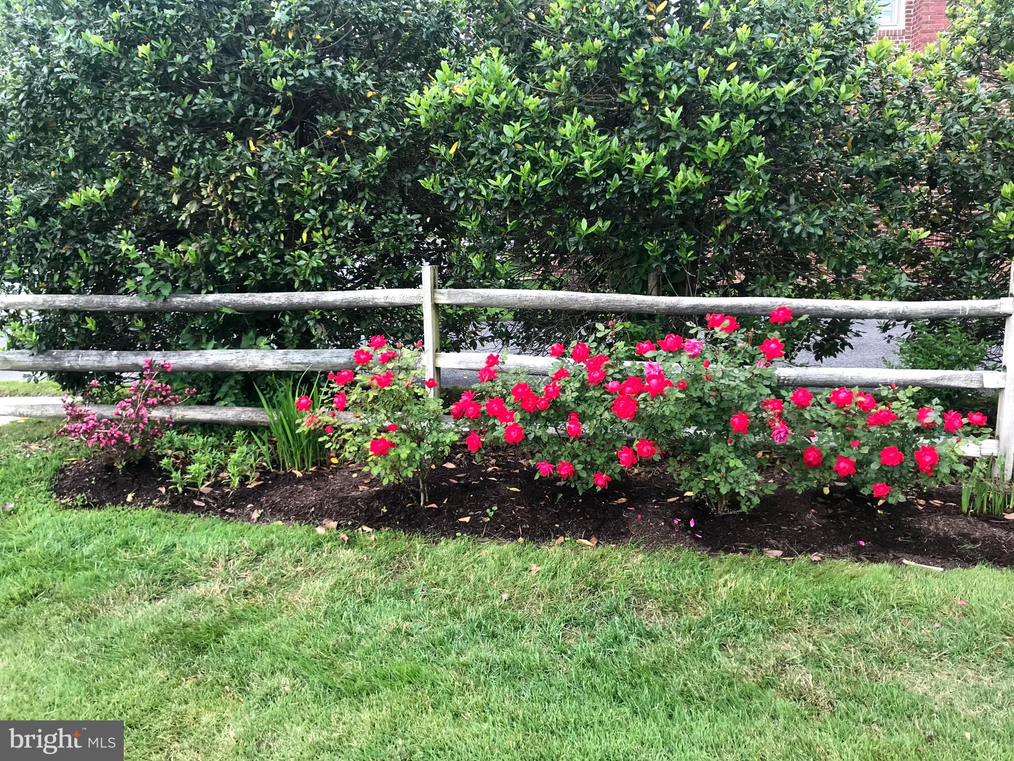 ST. MICHAELS - Residential