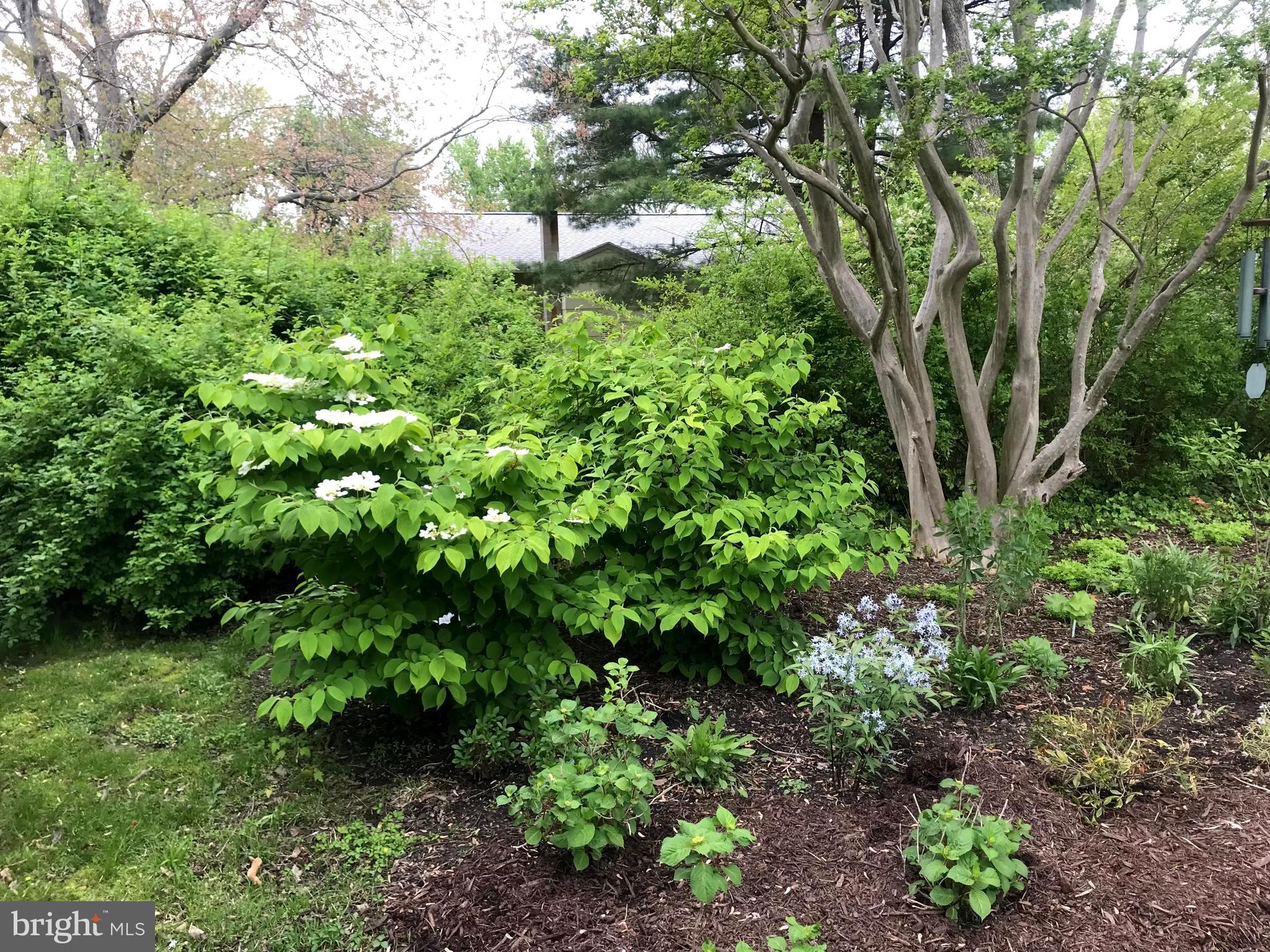 ST. MICHAELS - Residential