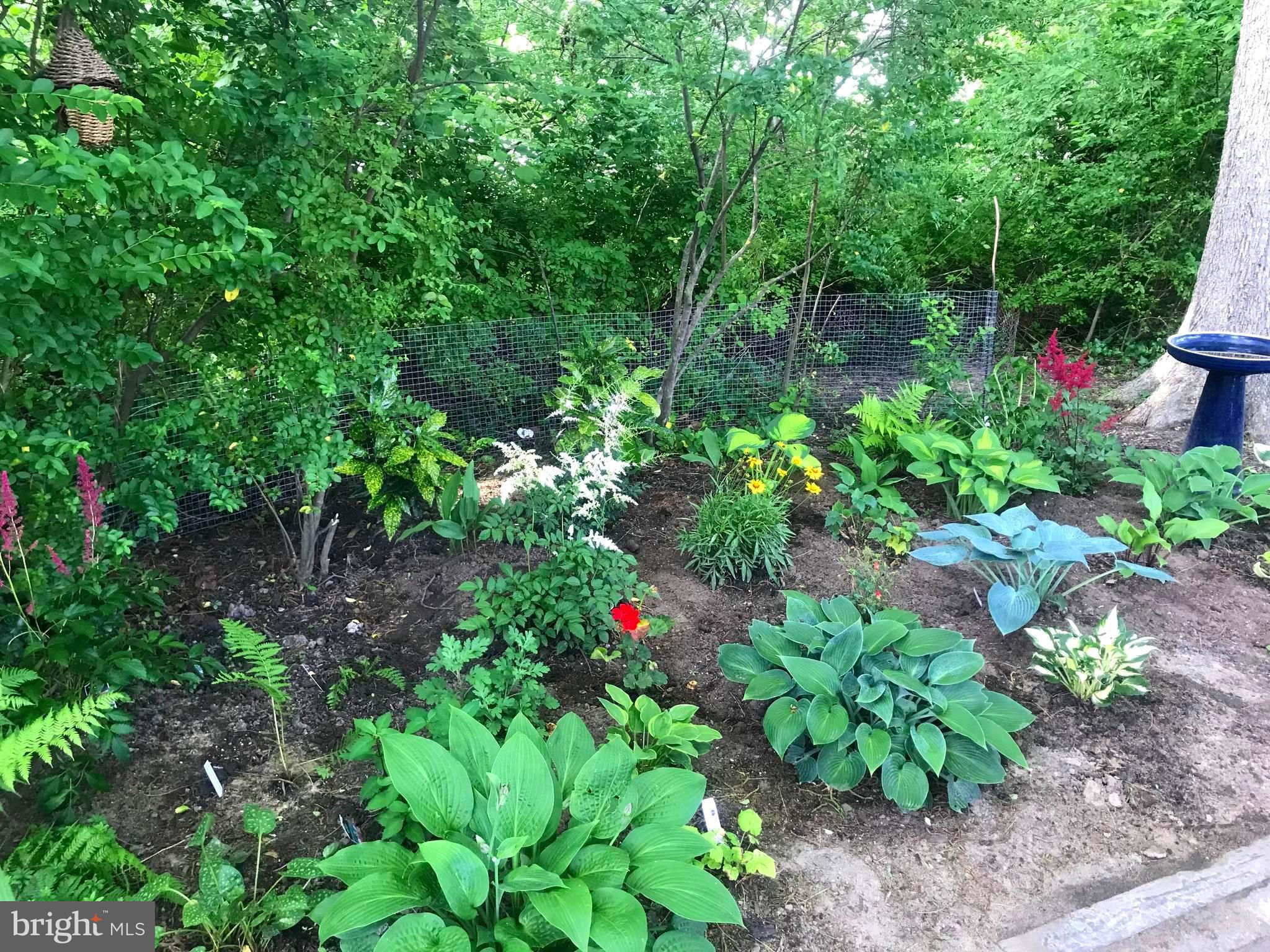 ST. MICHAELS - Residential