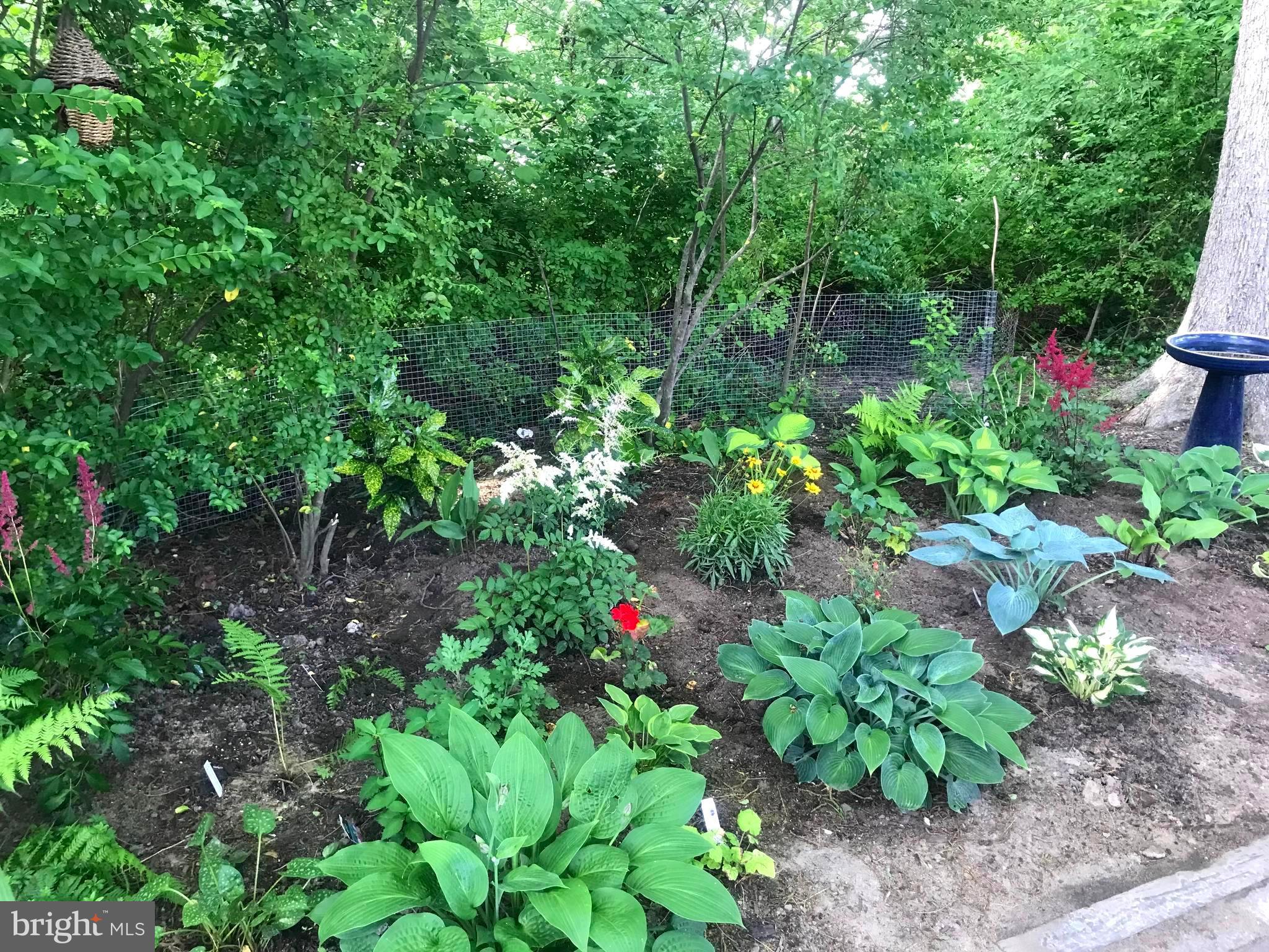 ST. MICHAELS - Residential