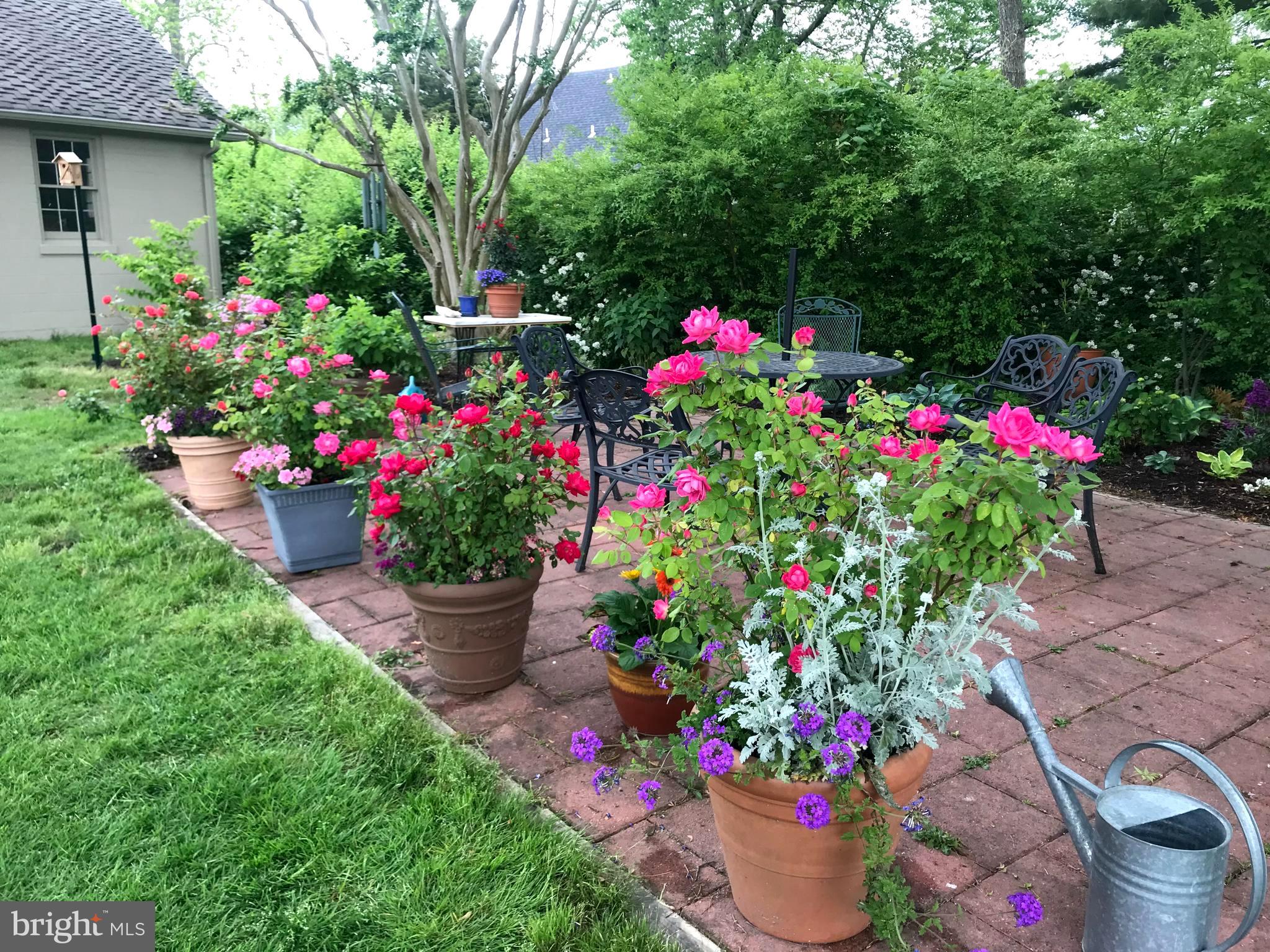 ST. MICHAELS - Residential