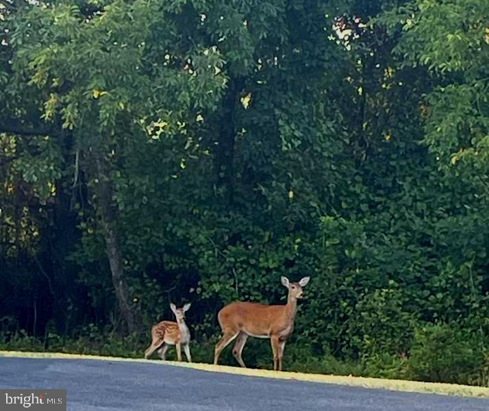 CREEKSIDE - Residential