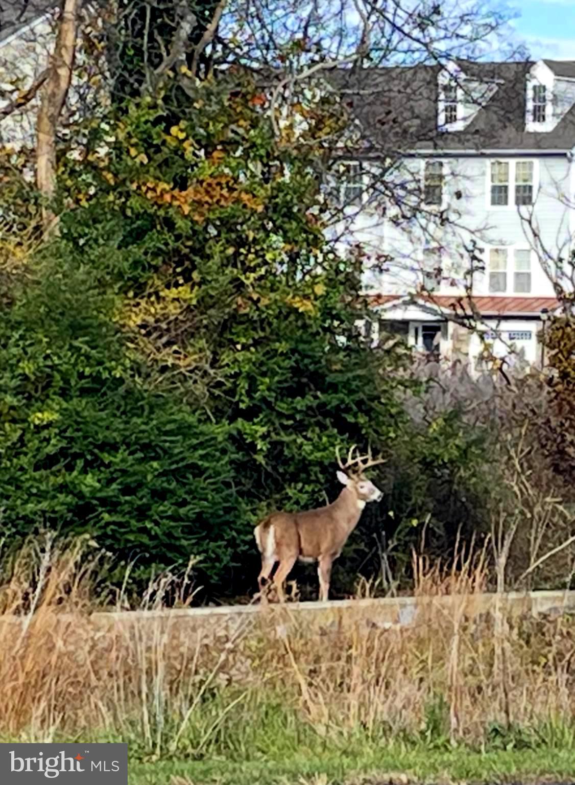 CREEKSIDE - Residential