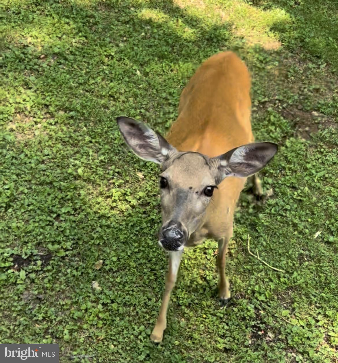 CREEKSIDE - Residential