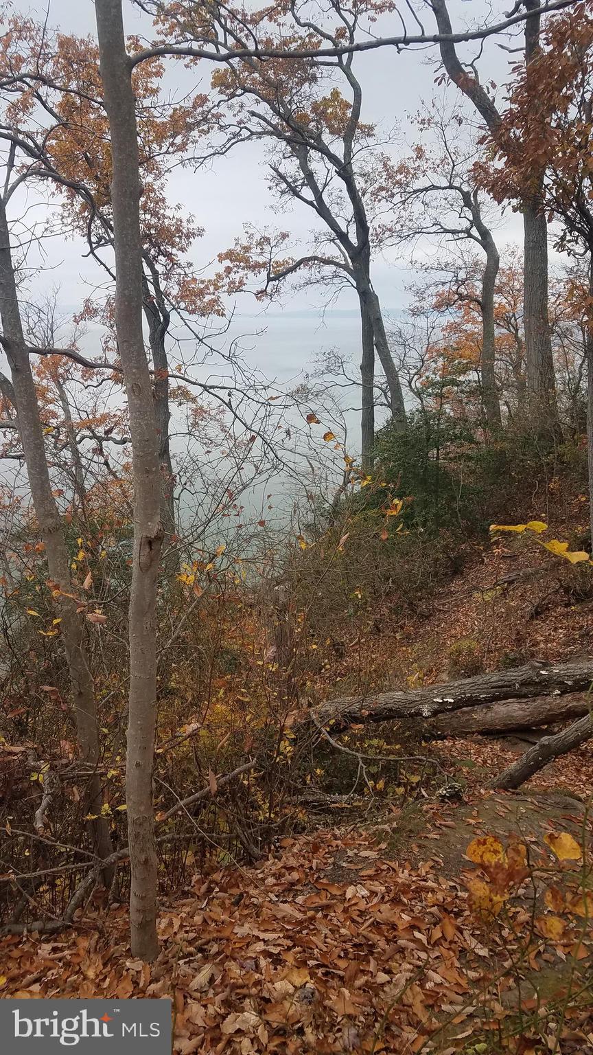 3929 TURKEY POINT ROAD