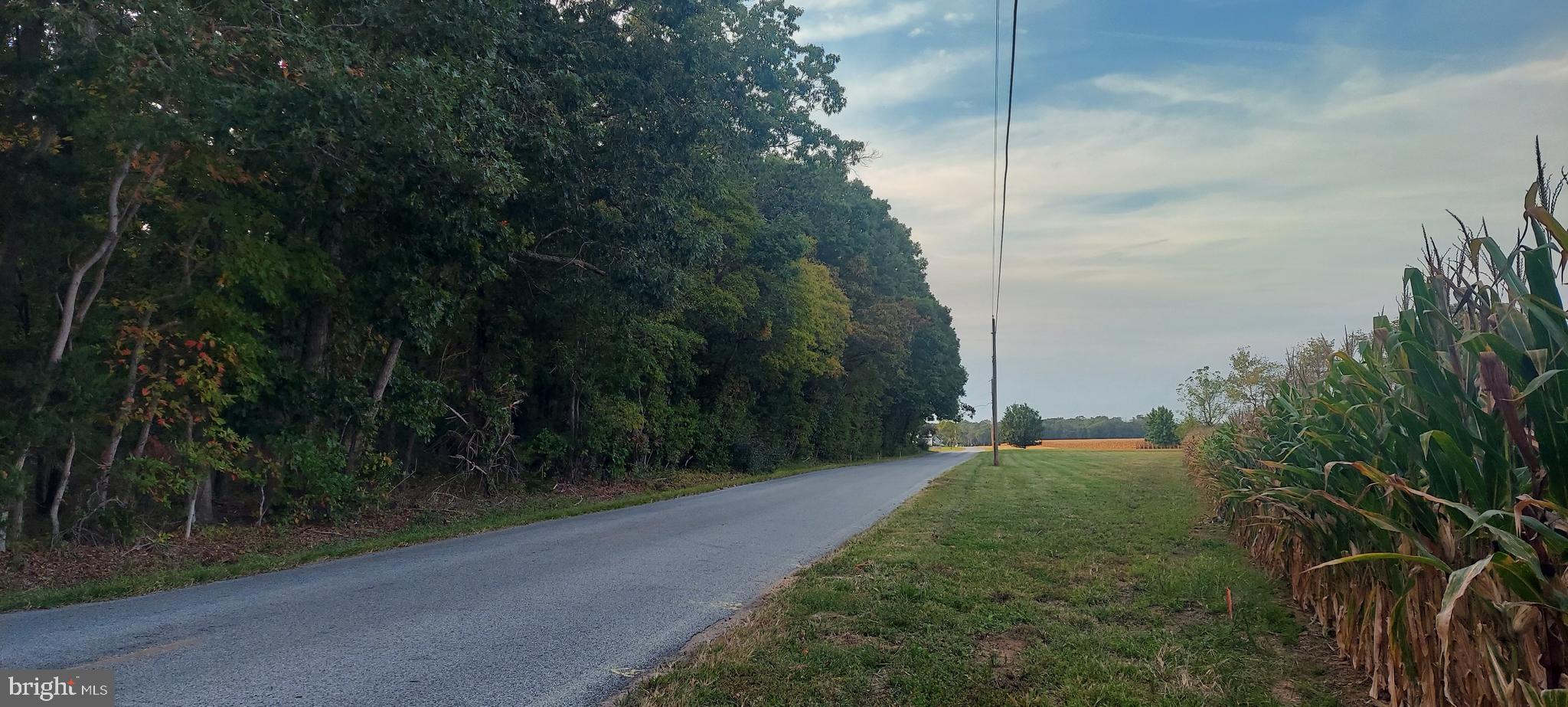 0 LAWRENCE CORNER ROAD 00011 04