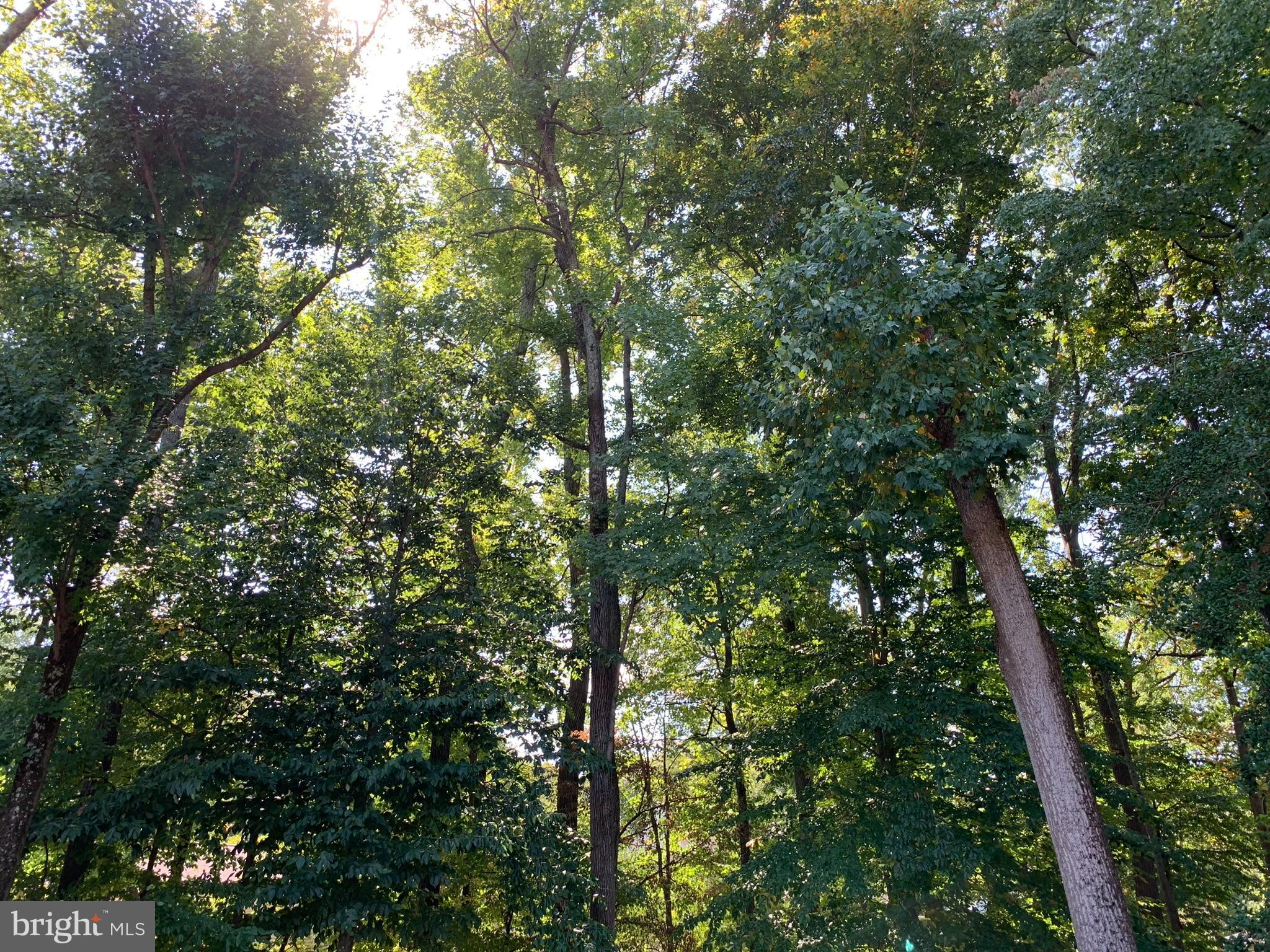 TANTALLON HILLS - Residential