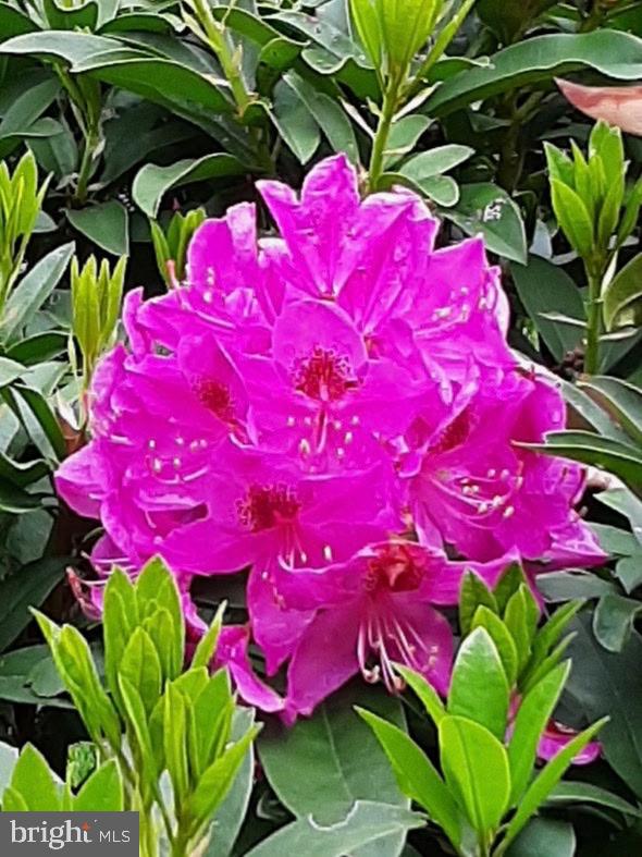 TANTALLON HILLS - Residential