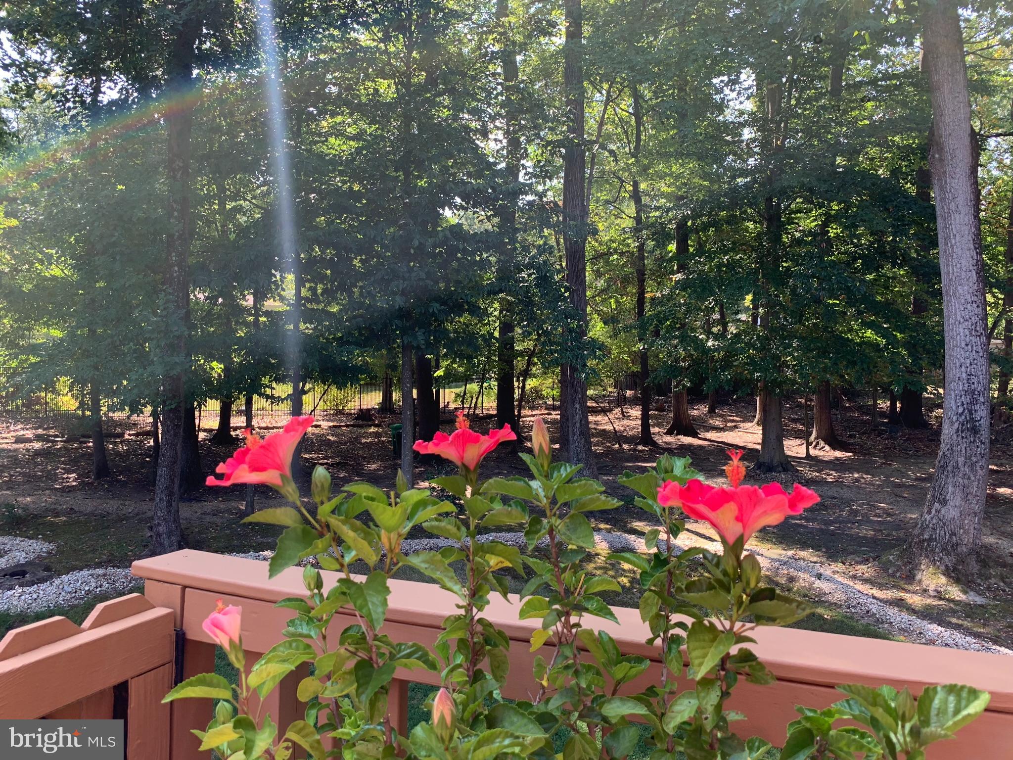 TANTALLON HILLS - Residential