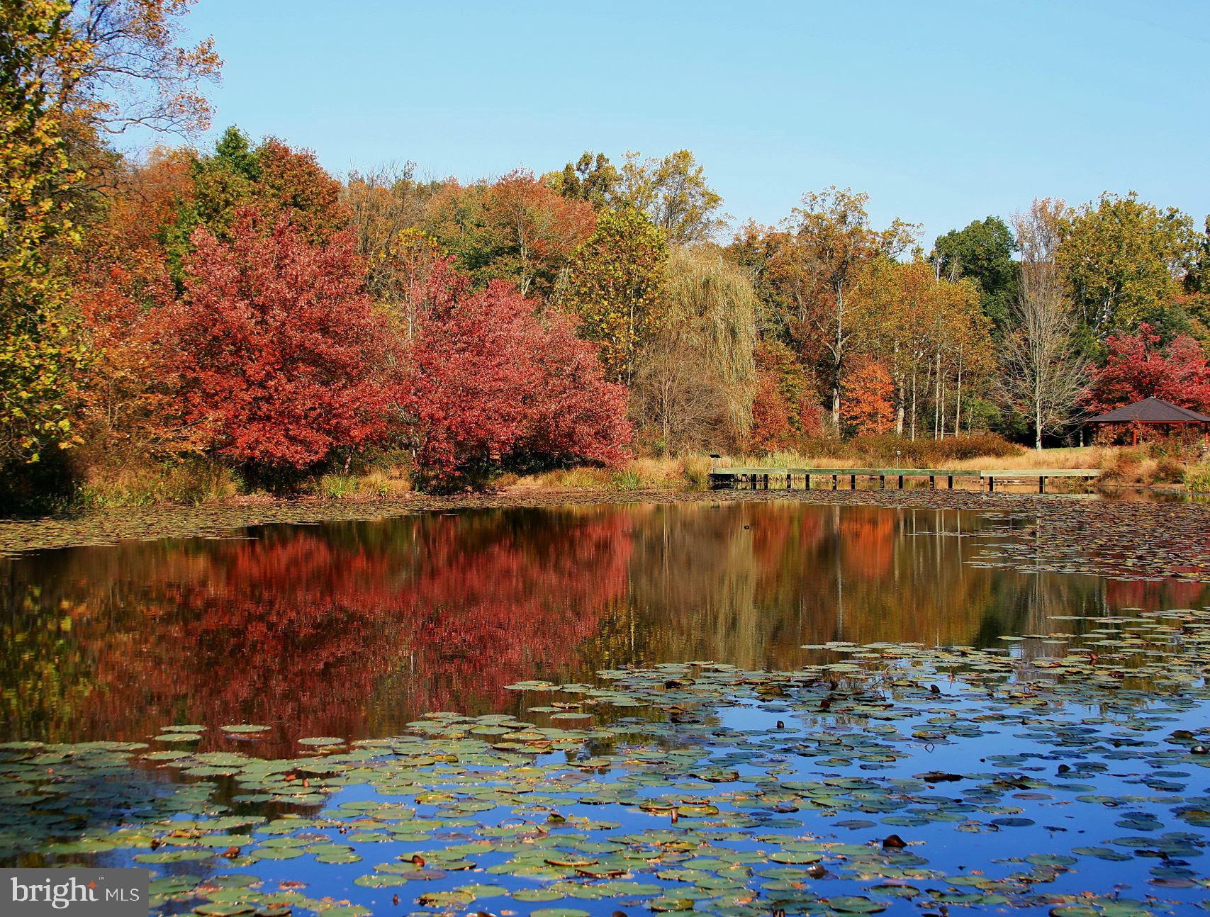 TANTALLON HILLS - Residential