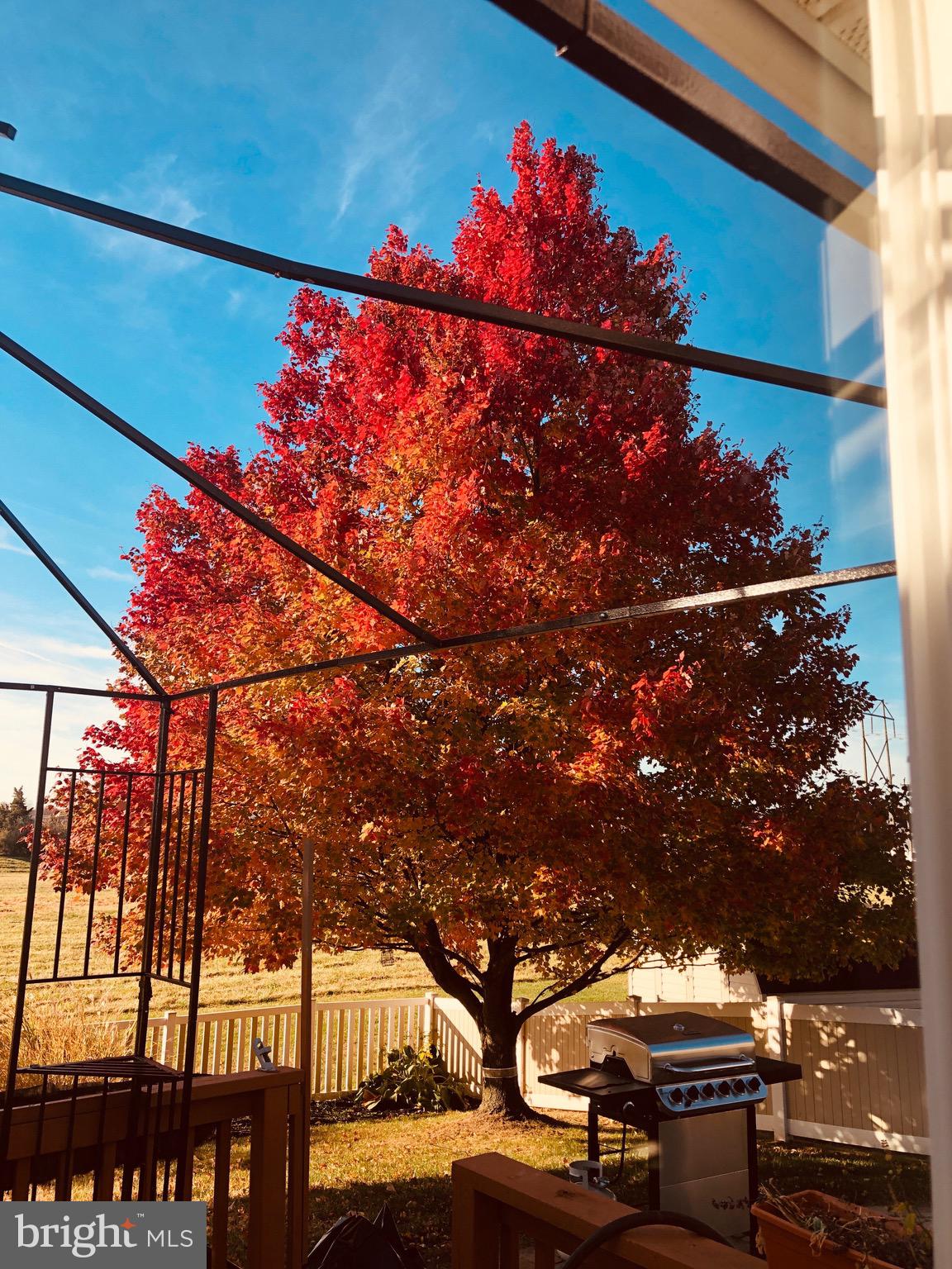 ADMIRE SPRINGS - Residential