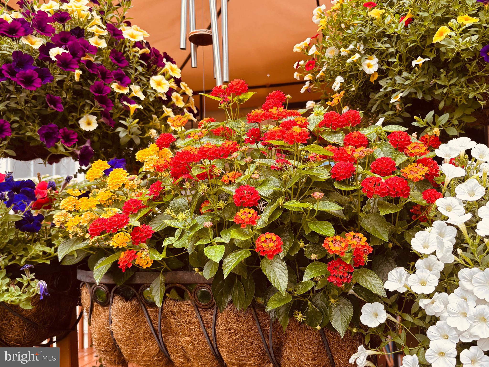 ADMIRE SPRINGS - Residential