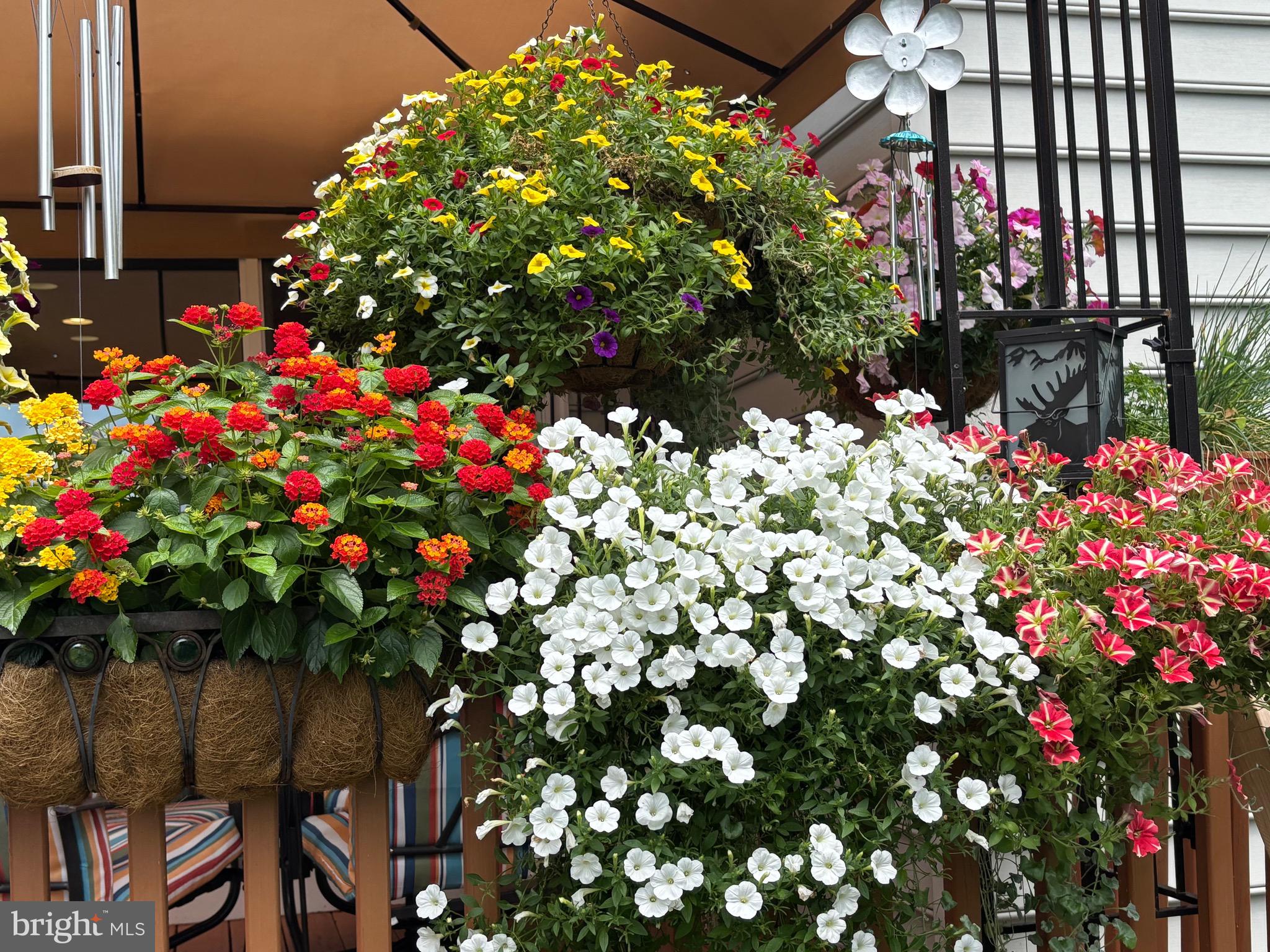 ADMIRE SPRINGS - Residential