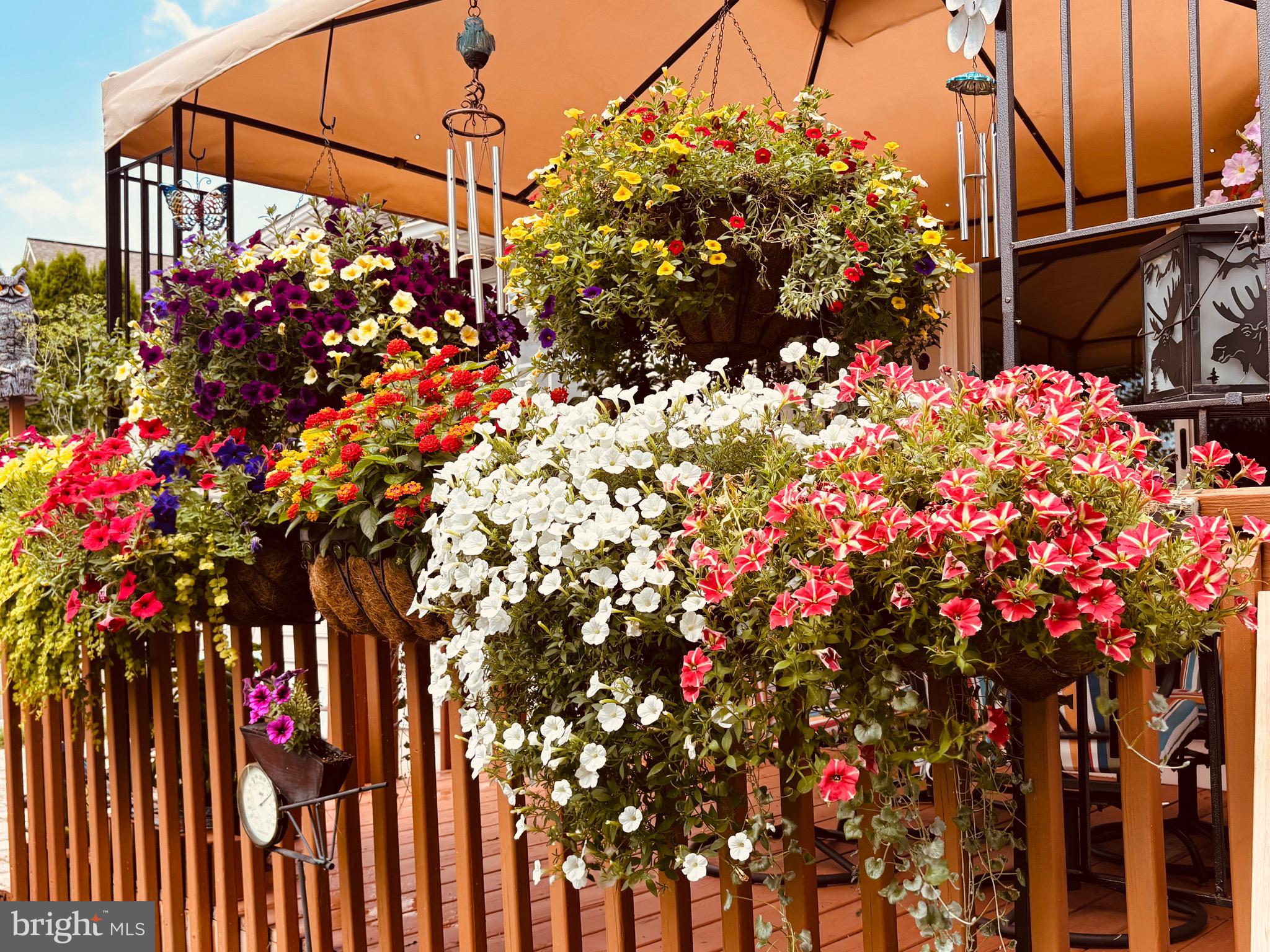 ADMIRE SPRINGS - Residential