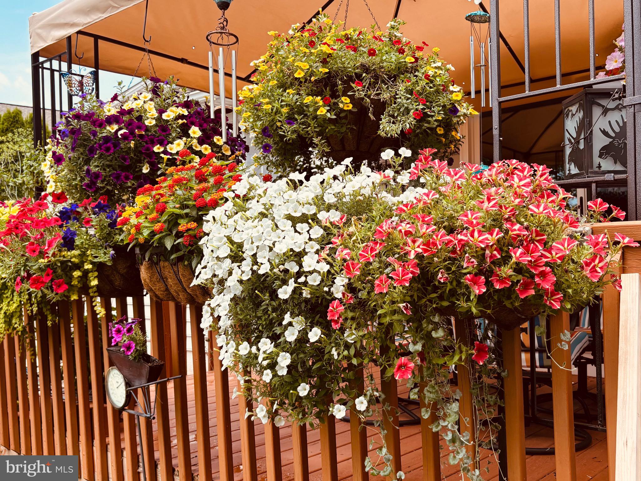 ADMIRE SPRINGS - Residential