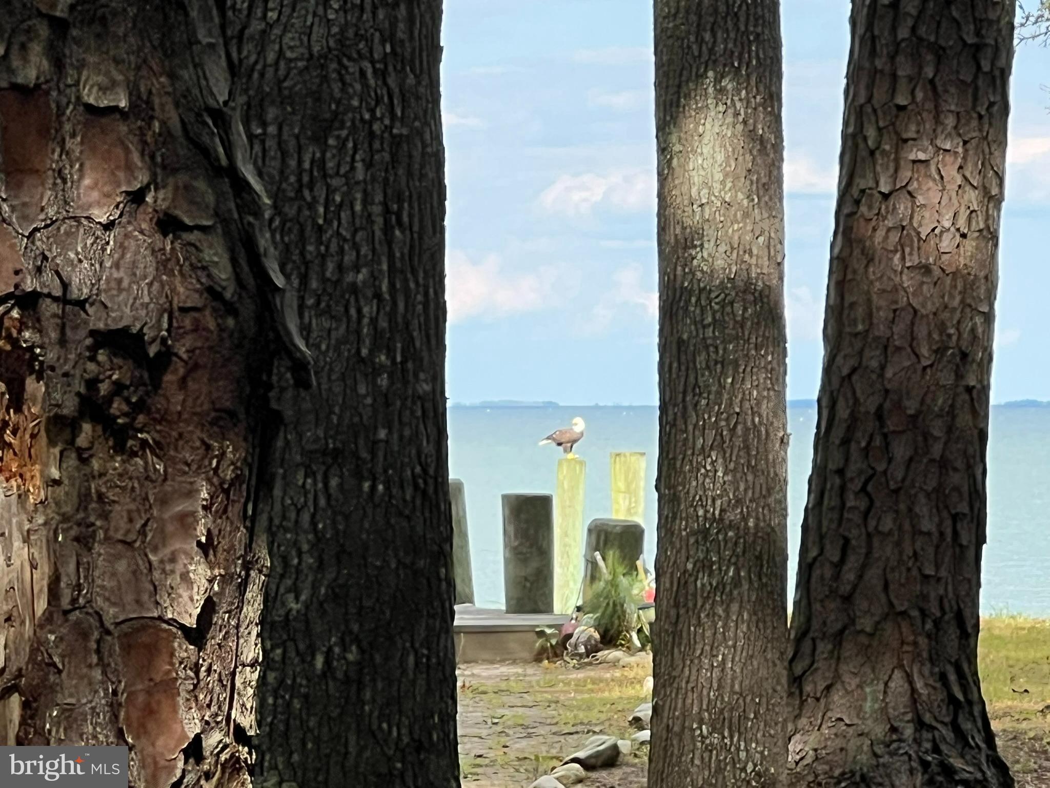 EVERGREEN ACRES - Residential