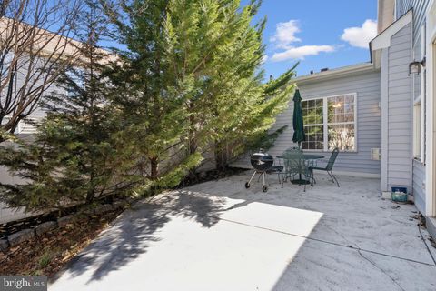 listing image 26