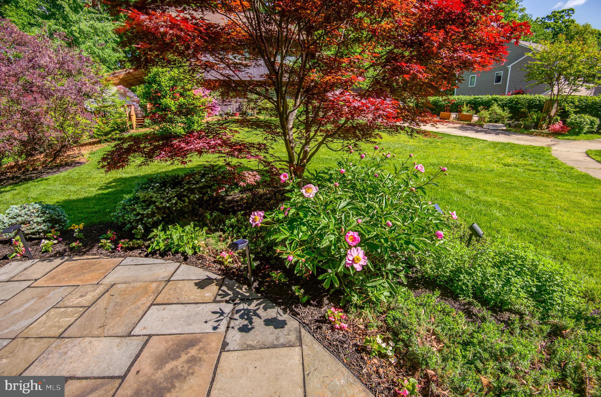 RESTON - Residential