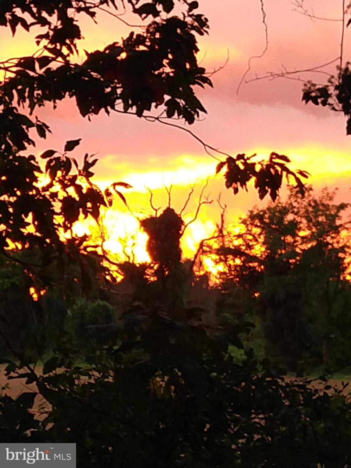 PLEASANT PLAINS - Residential