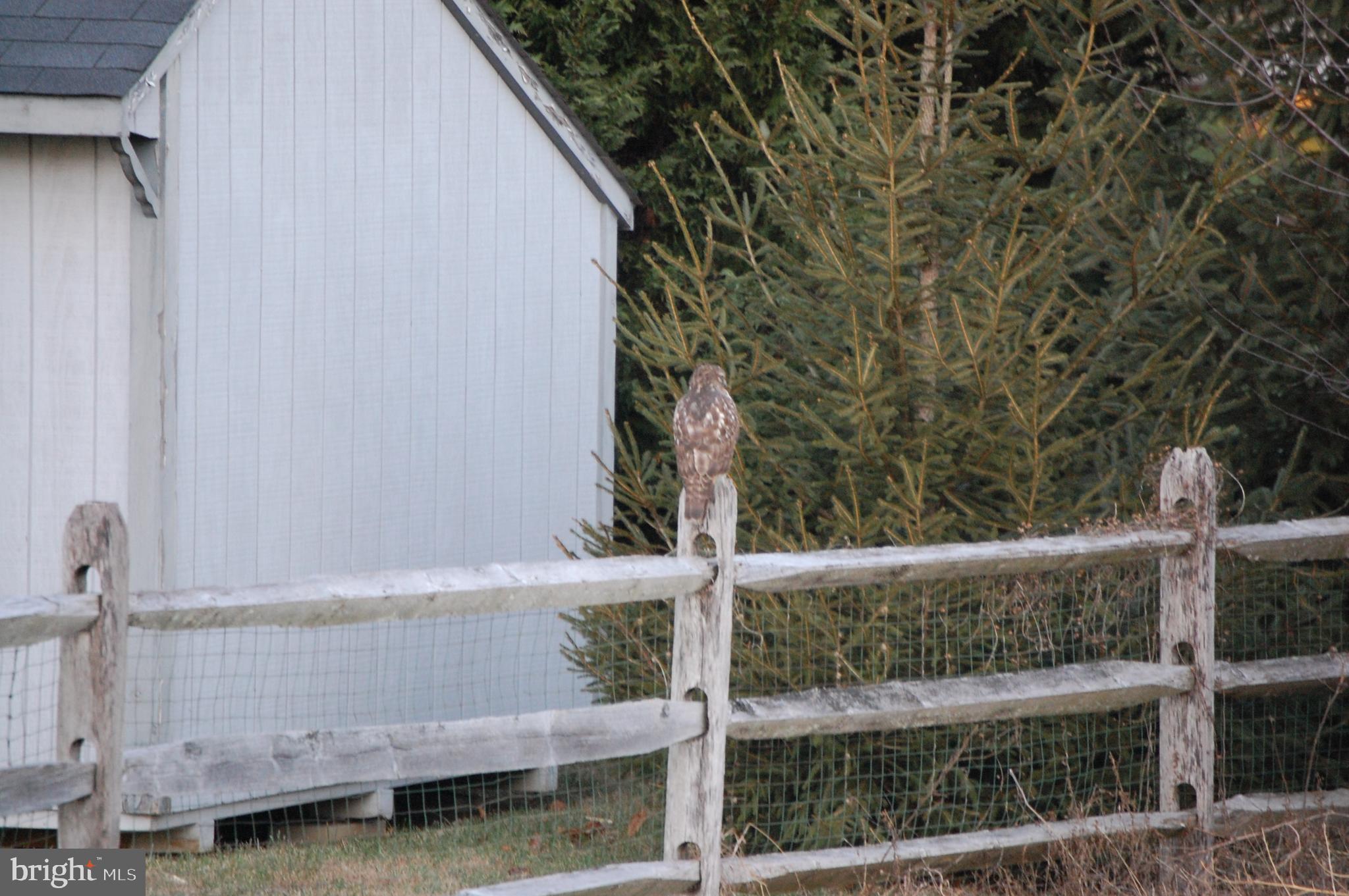 PLEASANT PLAINS - Residential