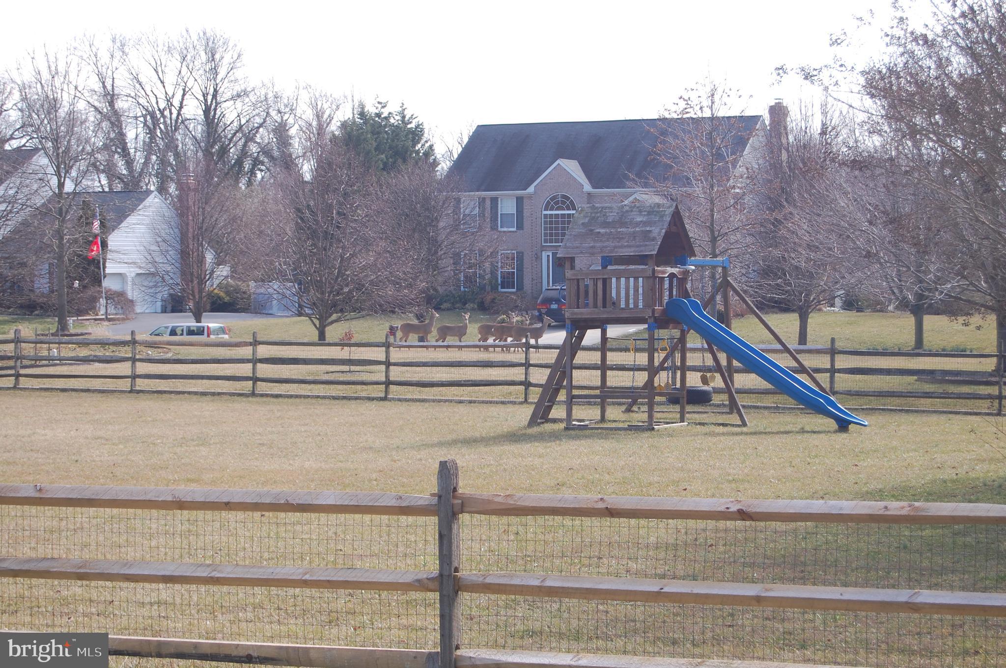 PLEASANT PLAINS - Residential