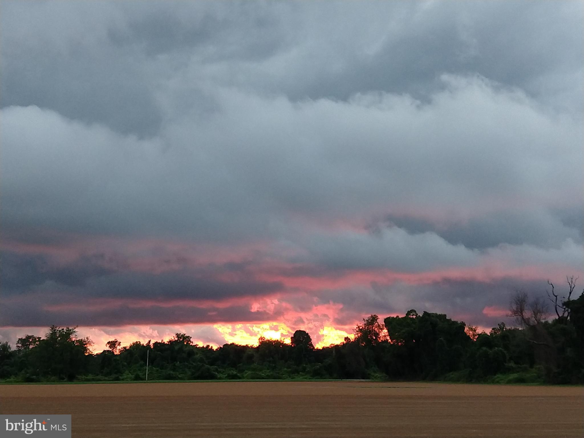 PLEASANT PLAINS - Residential