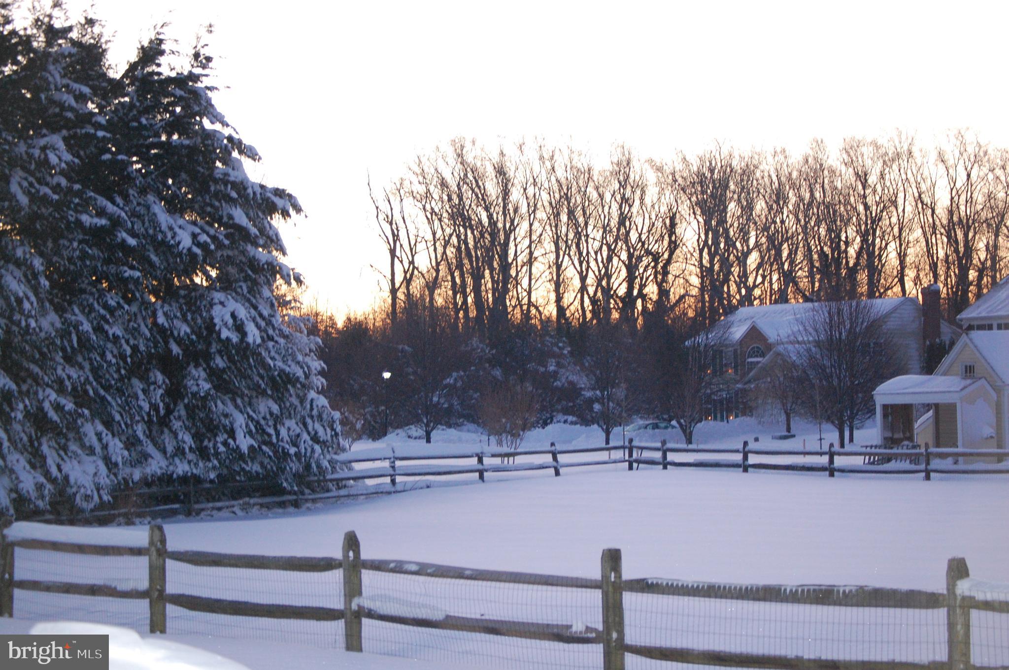 PLEASANT PLAINS - Residential